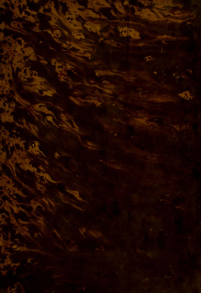 digitised image 1