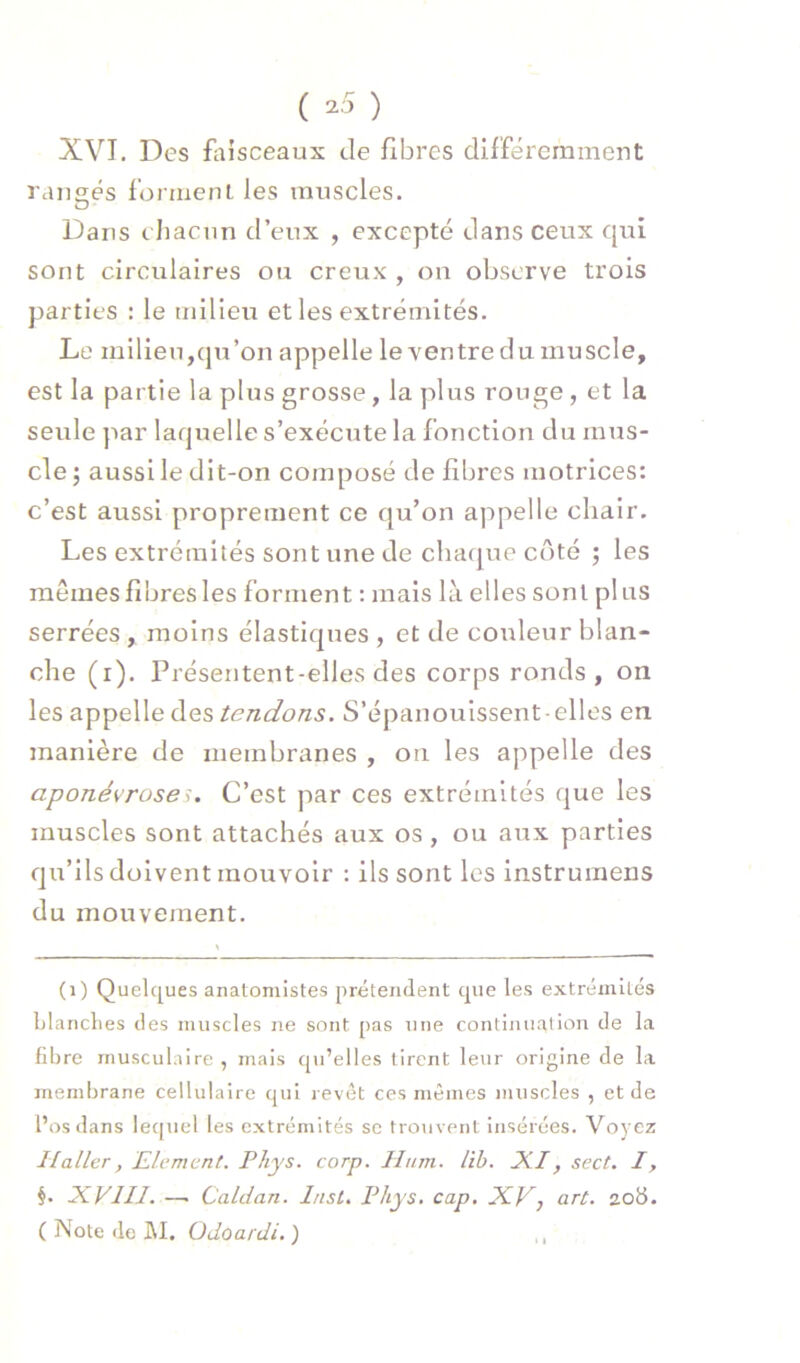 ( ^5 ) XVT. Des faisceaux de fibres différemment rangés formenl les muscles. O Dans chacun d’eux , excepté dans ceux qui sont circulaires ou creux , on observe trois parties : le milieu elles extrémités. Le milieu,qu’on appelle le ventre du muscle, est la partie la plus grosse, la plus rouge , et la seule par laquelle s’exécute la fonction du mus- cle ; aussi le dit-on composé de fibres motrices: c’est aussi proprement ce qu’on appelle chair. Les extrémités sont une de chaque côté ; les mêmes fibres les forment : mais là elles sont plus serrées, moins élastiques , et de coiileur blan- che (r). Présentent-elles des corps ronds, on les appelle des tendons. S’épanouissent • elles en manière de membranes , on les appelle des aponévrose'^. C’est par ces extrémités que les muscles sont attachés aux os, ou aux parties qu’ils doivent mouvoir : ils sont les instrumens du mouvement. (i) Quelques anatomistes prétendent que les extrémités hlanclies des muscles ne sont pas une continuation de la fibre musculaire , mais qu’elles tirent leur origine de la membrane cellulaire qui revêt ces mêmes nniscles , et de l’os dans lecjuel les extrémités se trouvent insérées. Voyez Haller, Elément. Phys. corp. Hum. lib. IKI, sect. I, §. XVIII. —. Caldan. Inst, Phys, cap. XV, art. 208. ( Note de ]\I. Üdoardi. )