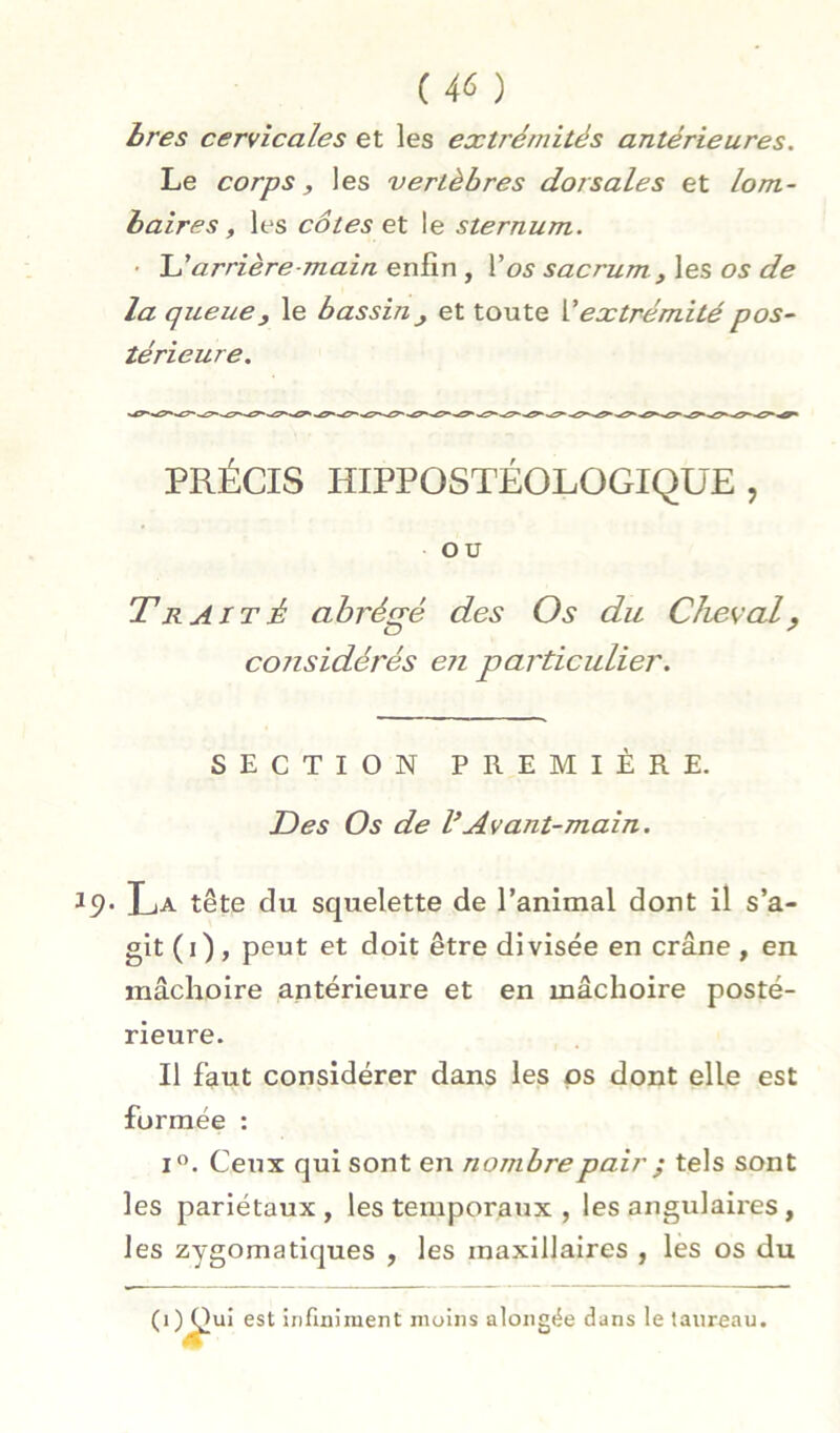 bres cervicales et les extrémités antérieures. Le corps y les vertèbres dorsales et lom- baires, les côtes ex le sternum. • arrière-main QvsSxw , Vos sacrum ,\es os de la queue y le bassin ^ et toute V extrémité pos- térieure. PRÉCIS HIPPOSTÉOLOGIQÜE , OU Traité abrégé des Os du Chenal, cotisidérés en particulier. SECTION PREMIÈRE. Tes Os de VAvant-main. 9* La tête du squelette de l’animal dont il s’a- git (i), peut et doit être divisée en crâne , en mâchoire antérieure et en mâchoire posté- rieure. Il faut considérer dans les ps dont elle est formée : I”. Ceux qui sont en nombre pair ^ tels sont les pariétaux, les temporaux , les angulaires, les zygomatiques , les maxillaires , les os du (i) Qui est infiniment moins alongée dans le taureau.