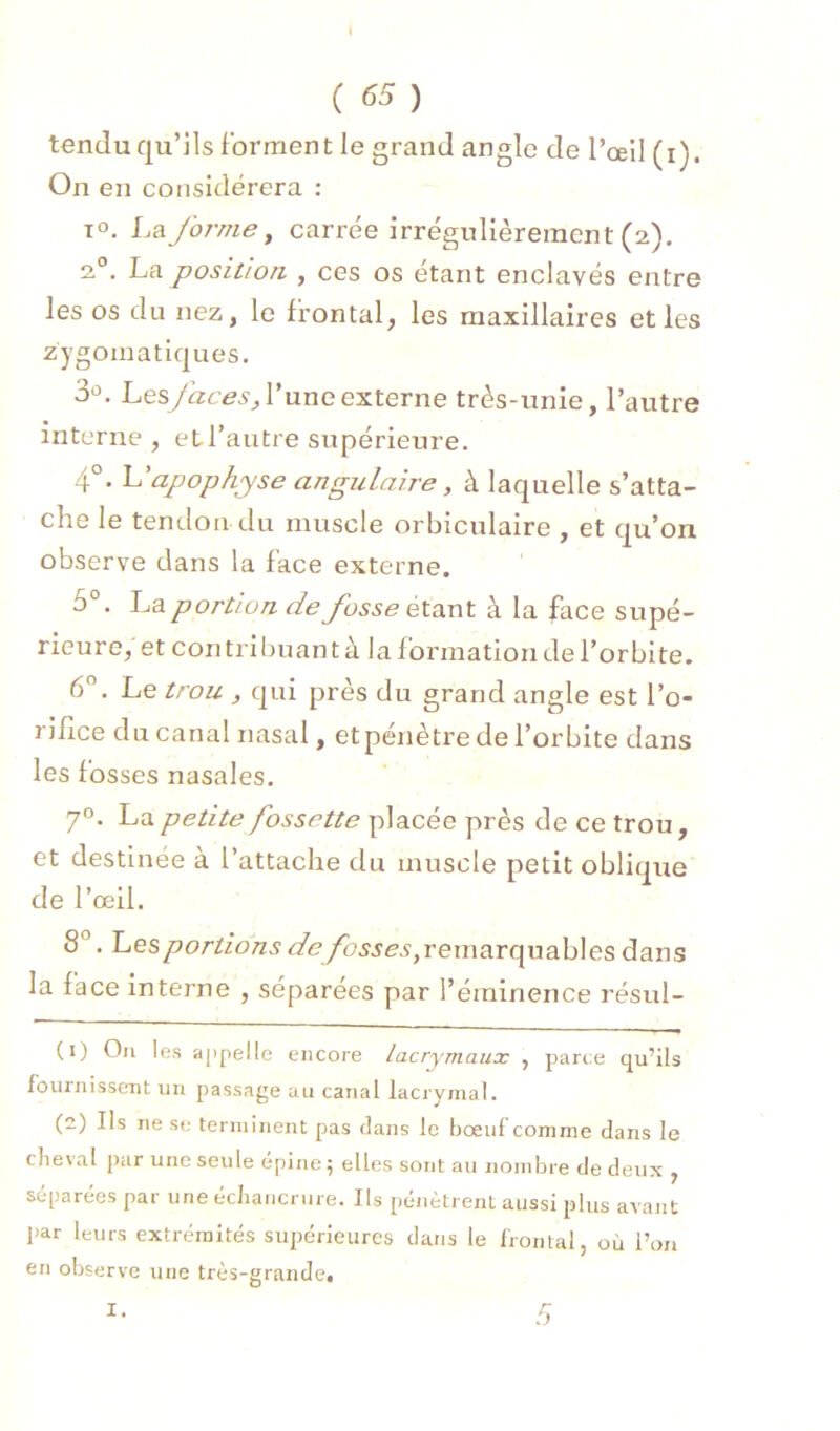 tendu qu’ils Forment le grand angle de l’œil (i). On en considérera : lo. forme^ carrée irrégulièrement (2). 2°. La position , ces os étant enclavés entre les os du nez, le frontal, les maxillaires et les zygomatiques. 3û. Les/rtr/?^, l’une externe très-unie, l’autre interne , et l’autre supérieure. 4°. U apophyse angulaire, à laquelle s’atta- che le tendon du muscle orbiculaire , et qu’on observe dans la Face externe. 5°. ha portion de fosse étant à la face supé- rieure, et contribuant à la Formation de l’orbite. 6°. Le trou , qui près du grand angle est l’o- rifice du canal nasal, et pénètre de l’orbite dans les Fosses nasales. 70. La petite fossette placée près de ce trou, et destinée à l’attache du muscle petit oblique de l’œil. 8°. hes portions de fosses,remarquables dans la Face interne , séparées par l’éminence résul- (1) Oïl les appelle encore lacrymaux , parce cju’ils fburnisscTit un passage au canal lacrymal. (2) Ils ne se terminent pas dans le bœul comme dans le cheval jiar une seule épine ; elles sont au nombre de deux , séparées par une écJiancrure. Ils pénètrent aussi plus avant par leurs extrémités supérieures dans le frontal, où l’on en observe une très-grande. I.