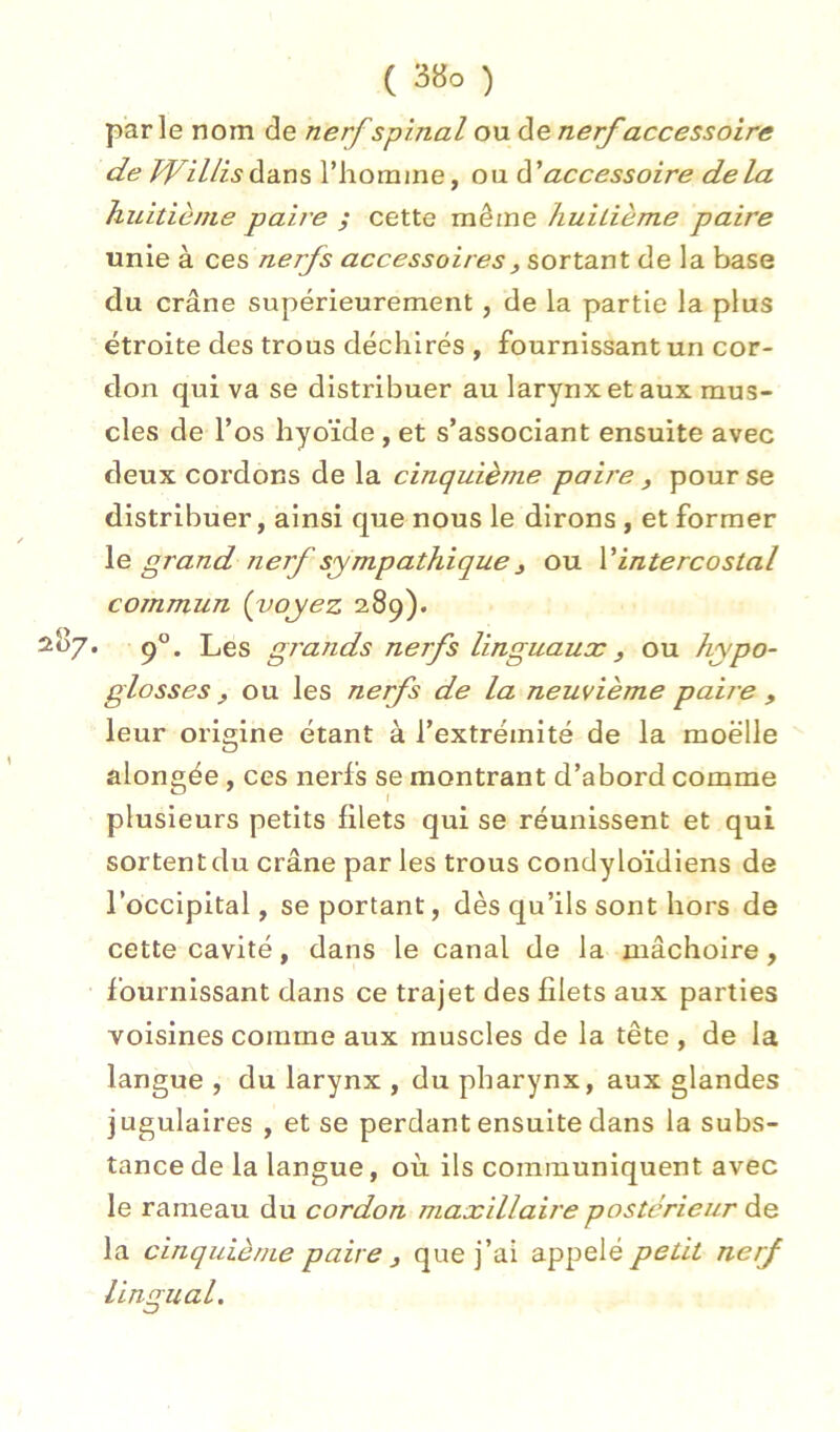 parle nom de nerf spinal ou de nerf accessoire de Jaillis dans l’homme, ou accessoire delà huitième paire y cette même huitième paire unie à ces nerfs accessoires, sortant de la base du crâne supérieurement, de la partie la plus étroite des trous déchirés , fournissant un cor- don qui va se distribuer au larynx et aux mus- cles de l’os hyoïde, et s’associant ensuite avec deux cordons de la cinquième paire , pour se distribuer, ainsi que nous le dirons, et former le grand nerf sympathique ^ ou Vintercostal commun (voyez 289). ^^7- f. Les gj'ands nerfs linguaux , ou hypo- glosses , ou les nerfs de la neuvième paire , leur origine étant à l’extrémité de la moelle alongée, ces nerls se montrant d’abord comme plusieurs petits filets qui se réunissent et qui sortent du crâne par les trous condyloïdiens de l’occipital, se portant, dès qu’ils sont hors de cette cavité, dans le canal de la mâchoire, fournissant dans ce trajet des filets aux parties voisines comme aux muscles de la tête , de la langue , du larynx , du pharynx, aux glandes jugulaires , et se perdant ensuite dans la subs- tance de la langue, où ils communiquent avec le rameau du cordon maxillaire postérieur de la cinquième paire ^ que j’ai appelé petit nerf lingual.