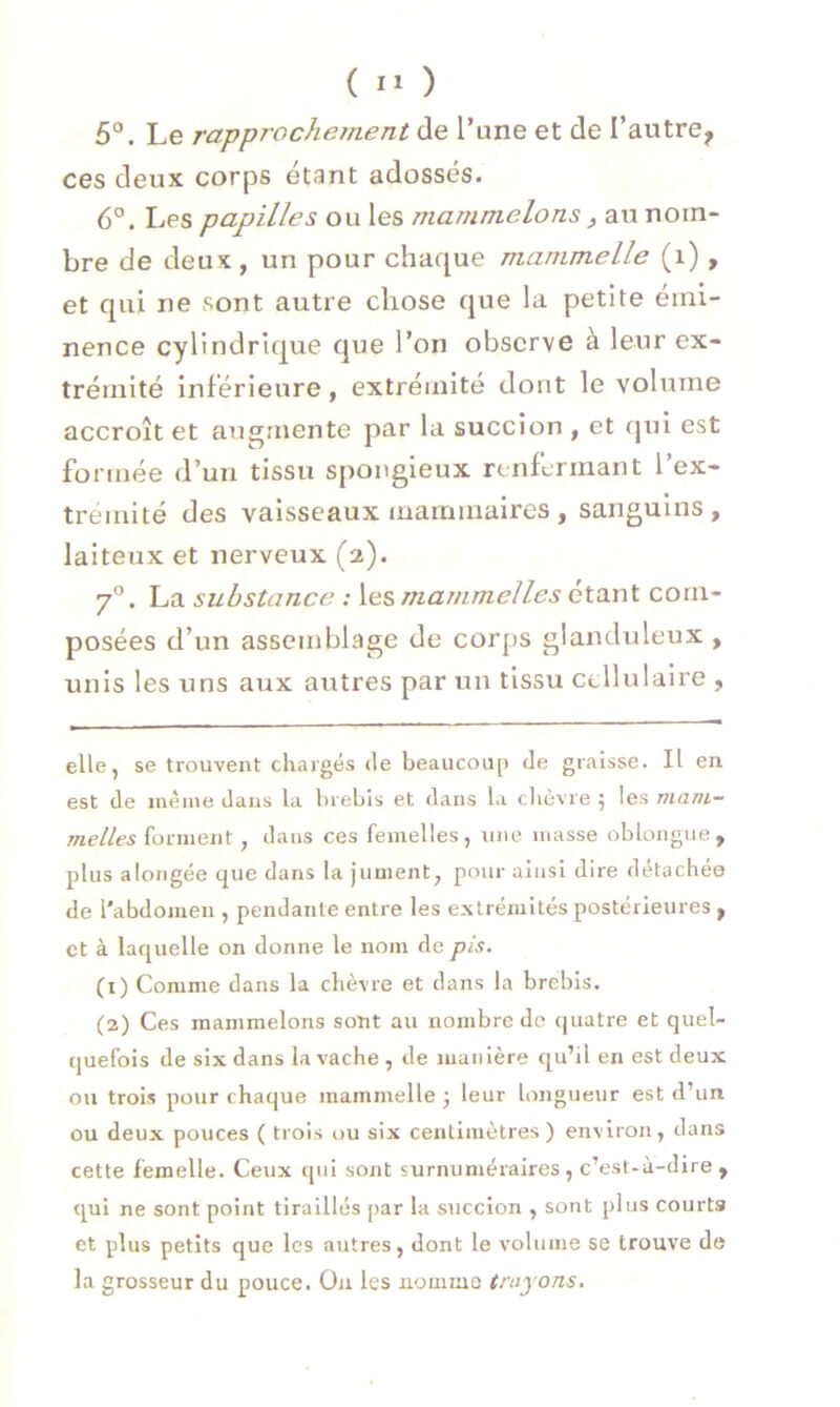 ( ) 5°. Le rapprochement de l’une et de I’autre? ces deux corps étant adossés. 6°. Les papilles ou les mammelons, au nom- bre de deux, un pour chaque mammelle (1), et qui ne sont autre chose que la petite émi- nence cylindrique que l’on observe à leur ex- trémité inférieure, extrémité dont le volume accroît et augmente par la succion , et qui est formée d’un tissu spongieux renfermant l’ex- tremité des vaisseaux mammaires , sanguins, laiteux et nerveux (2). 70. La substance : les mammelles étant com- posées d’un assemblage de corps glanduleux , unis les uns aux autres par un tissu cellulaire , elle, se trouvent chargés de beaucoup de graisse. Il en est de même dans la brebis et dans la chèvre ; les maiu- melles forment, dans ces femelles, une masse oblongue, plus alongée que dans la jument, pour ainsi dire détachée de l'abdomen , pendante entre les extrémités postérieures , et à laquelle on donne le nom de pis. (1) Comme dans la chèvre et dans la brebis. (2) Ces mammelons sont au nombre de quatre et quel- quefois de six dans la vache , de manière qu’il en est deux ou trois pour chaque mammelle} leur longueur est d’un ou deux pouces ( trois ou six centimètres) environ, dans cette femelle. Ceux qui sont surnuméraires , c’est-à-dire , qui ne sont point tiraillés par la succion , sont plus courts et plus petits que les autres, dont le volume se trouve de la grosseur du pouce. On les nomme trayons.