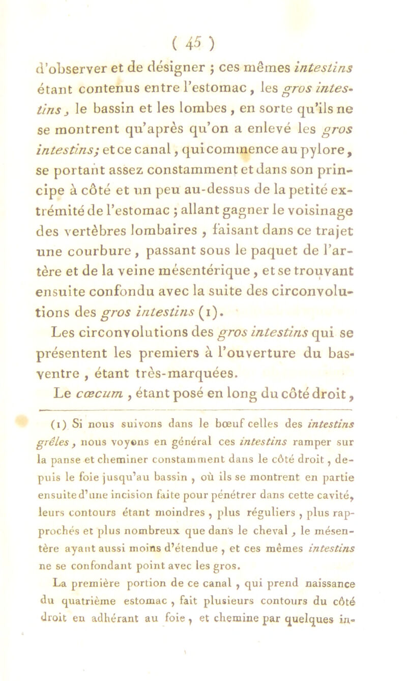 d’observer et de désigner ; ces mêmes intestins étant contenus entre l’estomac , les gros intes- tins j le bassin et les lombes , en sorte qu’ils ne se montrent qu’après qu’on a enlevé les gros intestins; et ce canal, qui commence au pylore, se portant assez constamment et dans son prin- cipe à côté et un peu au-dessus de la petité ex- trémité de l’estomac ; allant gagner le voisinage des vertèbres lombaires , faisant dans ce trajet une courbure , passant sous le paquet de l’ar- tère et de la veine mésentérique, et se trouvant ensuite confondu avec la suite des circonvolu- tions des gros intestins (i). Les circonvolutions des gros intestins qui se présentent les premiers à l’ouverture du bas- yentre , étant très-marquées. Le cæcum , étant posé en long du côté droit, (i) Si nous suivons dans le bœuf celles des intestins grêles, nous voyons en général ces intestins ramper sur la panse et cheminer constamment dans le côté droit, de- puis le foie jusqu’au bassin , où ils se montrent en partie ensuited’une incision faite pour pénétrer dans cette cavité, leurs contours étant moindres , plus réguliers , plus rap- prochés et plus nombreux que dans le cheval , le mésen- tère ayant aussi moins d’étendue , et ces mêmes intestins ne se confondant point avec les gros. La première portion de ce canal , qui prend naissance du quatrième estomac , fait plusieurs contours du côté droit en adhérant au foie , et chemine par quelques in-