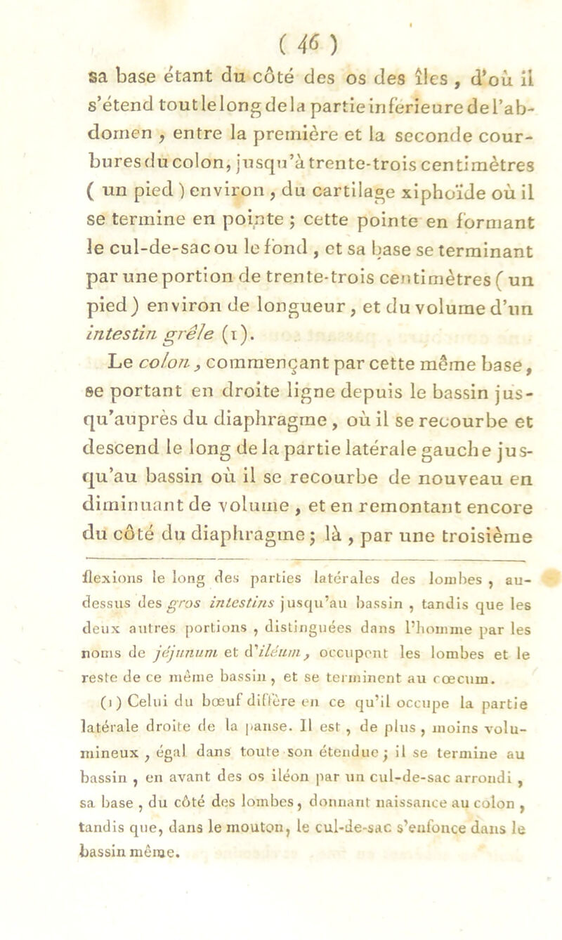 sa base étant du côté des os des îles , d’où il s’étend toutlelongdela partieinferieuredel’ab- dornen , entre la première et la seconde cour- buresdu colon, jusqu’à trente-trois centimètres ( un pied ) environ , du cartilage xiphoïde où il se termine en pointe ; cette pointe en formant le cul-de-sac ou le fond , et sa base se terminant par une portion de trente-trois centimètres ( un pied) environ de longueur, et du volume d’un Intestin grêle ( i ). Le colon, commençant par cette même base, se portant en droite ligne depuis le bassin jus- qu’auprès du diaphragme , où il se recourbe et descend le long de la partie latérale gauche jus- qu’au bassin où il se recourbe de nouveau en diminuant de volume , et en remontant encore du côté du diaphragme ; là , par une troisième flexions le long des parties latérales des lombes , au- dessus des gros intestins jusqu’au bassin , tandis que les deux autres portions , distinguées dans l’homme par les noms de jéjunum et d'iléum, occupent les lombes et le reste de ce même bassin, et se terminent au cæcum. (i) Celui du bœuf diffère en ce qu’il occupe la partie latérale droite de la panse. Il est , de plus , moins volu- mineux , égal dans toute son étendue j il se termine au bassin , en avant des os iléon par un cul-de-sac arrondi , sa base , du côté des lombes, donnant naissance au colon , tandis que, dans le mouton, le cul-de-sac s’enfonce dans le bassin même.