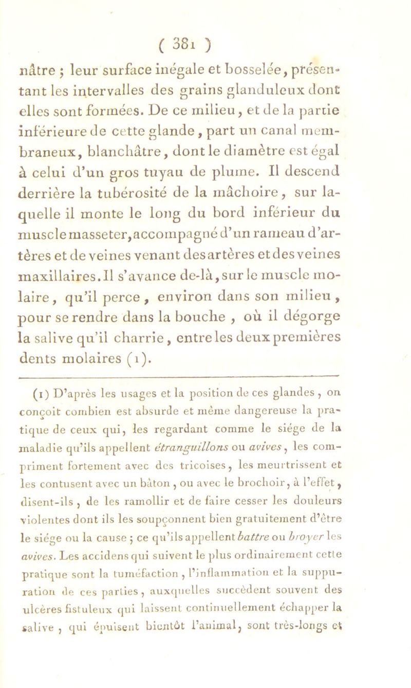nâtre ; leur surface inégale et bosselée, présen- tant les intervalles des grains glanduleux dont elles sont formées. De ce milieu, et de la partie inférieure de cette glande, part un canal mem- braneux, blanchâtre, dont le diamètre est égal à celui d’un gros tuyau de plume. Il descend derrière la tubérosité de la mâchoire, sur la- quelle il monte le long du bord inférieur du muscle masseter,accompagné d’un rameau d’ar- tères et de veines venant desartères etdes veines maxillaires.il s’avance de-là,surle muscle mo- laire , qu’il perce , environ dans son milieu, pour se rendre dans la bouche , où. il dégorge la salive qu’il charrie, entre les deux premières dents molaires (1). (i) D’après les usages et la position de ces glandes , on conçoit combien est absurde et même dangereuse la pra- tique de ceux qui, les regardant comme le siège de la maladie qu’ils appellent étranguillons ou avives, les com- priment fortement avec des tricoises, les meurtrissent et les contusent avec un bâton , ou avec le brochoir, à l’effet, disent-ils , de les ramollir et de faire cesser les douleurs violentes dont ils les soupçonnent bien gratuitement d’être le siège ou la cause ; ce qu’ils appellent battre ou broyer les avives. Les accidensqui suivent le plus ordinairement cette pratique sont la tuméfaction , l’inflammation et la suppu- ration de ces parties, auxquelles succèdent souvent des ulcères fistuleux qui laissent continuellement échapper la salive , qui épuisent bientôt i’animal, sont très-longs et