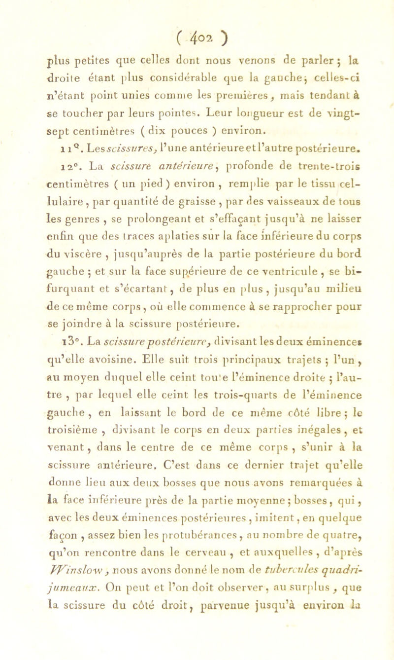 plus petites que celles dont nous venons de parler 5 la droite étant plus considérable que la gauche; celles-ci n’étant point unies comme les premières, mais tendant à se toucher par leurs pointes. Leur longueur est de vingt- sept centimètres ( dix pouces ) environ. 1 iQ. Lessc/s-sf/res, l’une antérieure et l’autre postérieure. 12°. La scissure antérieure, profonde de trente-trois centimètres ( un pied) environ , remplie par le tissu cel- lulaire , par cjuantité de graisse , par des vaisseaux de tous les genres , se prolongeant et s’effaçant jusqu’à ne laisser enfin que des traces aplaties sur la face inférieure du corps du viscère , jusqu’auprès de la partie postérieure du bord gauche ; et sur la face supérieure de ce ventricule , se bi- furquant et s’écartant, de plus en plus, jusqu’au milieu de ce même corps , où elle commence à se rapprocher pour se joindre à la scissure postérieure. i3°. La scissure postérieure, divisant les deux éminence* qu’elle avoisine. Elle suit trois principaux trajets ; l’un , au moyen duquel elle ceint tou'e l’éminence droite 5 l’au- tre , par lequel elle ceint les trois-quarts de l’éminence gauche , en laissant le bord de ce même côté libre ; le troisième , divisant le corps en deux parties inégales , et venant, dans le centre de ce même corps , s’unir à la scissure antérieure. C’est dans ce dernier trajet qu’elle donne lieu aux deux bosses que nous avons remarquées à la face inférieure près de la partie moyenne; bosses, qui, avec les deux éminences postérieures , imitent, en quelque façon , assez bien les protubérances, au nombre de quatre, qu’on rencontre dans le cerveau , et auxquelles , d’après Vf^inslow , nous avons donné le nom de tubercules quadri- jumeaux. On peut et l’on doit observer, au surplus , que la scissure du côté droit, parvenue jusqu’à environ la