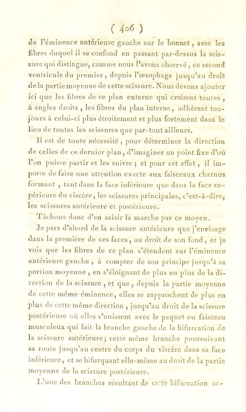 de l’éminence antérieure gauche sur le bonnet, avec les fibres duquel il se confond en passant par-dessus la scis- sure qui distingue, comme nous l’avons observé , ce second ventricule du premier, depuis l’œsophage jusqu’au droit delà partie moyenne de cette scissure. Nous devons ajouter ici que les fibres de ce plan externe qui croisent toutes , à angles droits , les fibres du plan interne, adhèrent tou- jours à celui-ci plus étroitement et plus fortement dans le lieu de toutes les scissures que par-tout ailleurs. Il est de toute nécessité , pour déterminer la direction de celles de ce dernier plan , d’imaginer un point fixe d’où l’on puisse partir et les suivre ; et pour cet effet, il im- porte défaire une attention exacte aux faisceaux charnus formant , tant dans la face inférieure que dans la face su- périeure du viscère, les scissures principales, c’est-à-dire, les scissures antérieure et postérieure. Tâchons donc d’en saisir la marche par ce moyen. Je pars d’abord de la scissure antérieure que j’envisage dans la première de ces faces, au droit de son fond, et je vois que les fibres de ce plan s’étendent sur l’éminence antérieure gauche , à compter de son principe jusqu’à sa portion moyenne , en s’éloignant de plus en plus de la di- rection de la scissure , et que , depuis la partie moyenne de cette même éminence, elles se rapprochent de plus en plus de cette même direction , jusqu’au droit de la scissure postérieure où elles s’unissent avec le paquet ou faisceau musculeux qui fait la branche gauche de la bifurcation de la scissure antérieure j cette même branche poursuivant sa route jusqu’au centre du corps du viscère dans sa face inférieure, et se bifurquant elle-même au droit de la partie moyenne de la scissure postérieure. L’une des branches résultant de cette bifurcation oc-