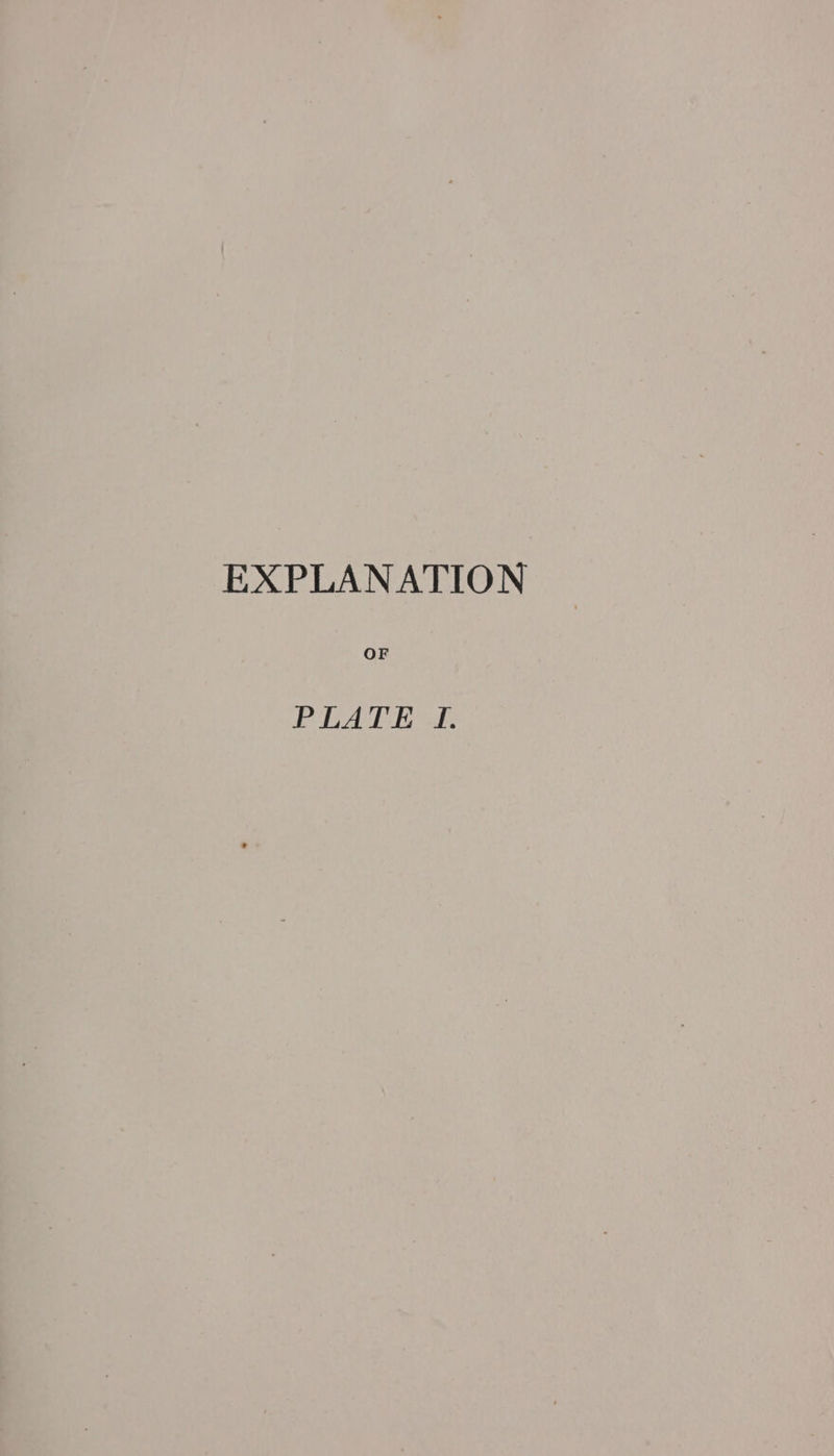 EXPLANATION OF PLATE I.