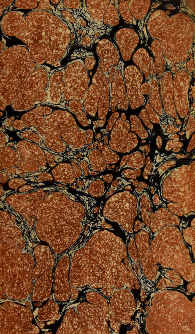 digitised image 3