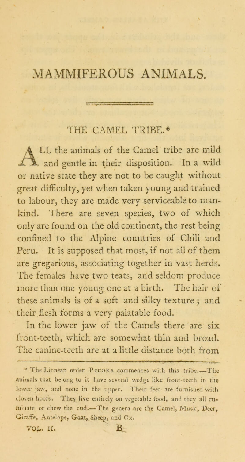 MAMMIFEROUS ANIMALS. THE CAMEL TRIBE.* * A LL the animals of the Camel tribe are mild and gentle in their disposition. In a wild or native state they are not to be caught without great difficulty, yet when taken young and trained to labour, they are made very serviceable to man- kind. There are seven species, two of which only are found on the old continent, the rest being confined to the Alpine countries of Chili and Peru. It is supposed that most, if not all of them are gregarious, associating together in vast herds. The females have two teats, and seldom produce m.ore than one young one at a birth. The hair of these anim.als is of a soft and silky texture ; and their flesh forms a very palatable food. In the lower jaw of the Camels there are six front-teeth, which are somewhat thin and broad. The canine-teeth are at a little distance both from I ^ * The Linnean order Pecora commences with this tribe.—The aniirials that belong to it have several wedge like front-teeth in the lower jaw, and none in the upper. Their feet are furnished with cloven hoofs. They live entirely on vegetable food, and they all ru- minate or chew the cud.—The genera are the Camel, Musk, Deer, Giraffe, Antelope, Goal, Sheep, and Ox.