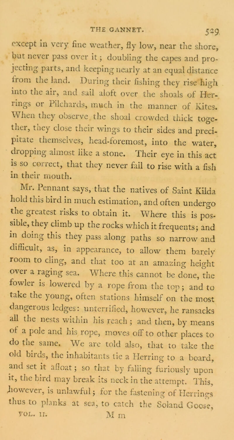 except in very fine weather, fly low, near the shore, but never pass over it; doubling the capes and pro- jecting parts, and keeping nearly at an equal distance tioni tlie land. During their flsliing they rise high into tlie air, and sail aloft over the shoals of Her- rings or Pilchards, much in the manner of Kites. Wiien they observe the shoal crowded thick toge- ther, they close their wings to their sides and preci- pitate themselves, head-foremost, into the water, dropping almost like a stone. Their eye in this act is so correct, that they never fail to rise with a fish in their mouth. Mr. Pennant says, that the natives of Saint Kilda hold this bird m much estimation, and often undergo the greatest risks to obtain it. Where this is pos- sible, they climb up the rocks which it frequents; and in doing this they pass along paths so narrow and diflicult, as, in appearance, to allow them barely room to cling, and that too at an amazing height over a raging sea. Where this cannot be done, the fowler is lowered by a rope from the ton; and to take the young, often stations himself on the most dangerous ledges: untenified, however, he ransacks all the nests within his reach ; and then, by means ot a pole and his rope, moves off to other places to do tlie same. We are told also, that to take the old birds, the inhabitants tic a Herring to a board, and set it afloat; so that by falling furiously upon It, the bird may break its neck in the attempt. ITis, Jiowever, is unlawful; for the fiistening of Herrings thus to planks at sea, to catch the Soland Goose, VOL. II. M rn