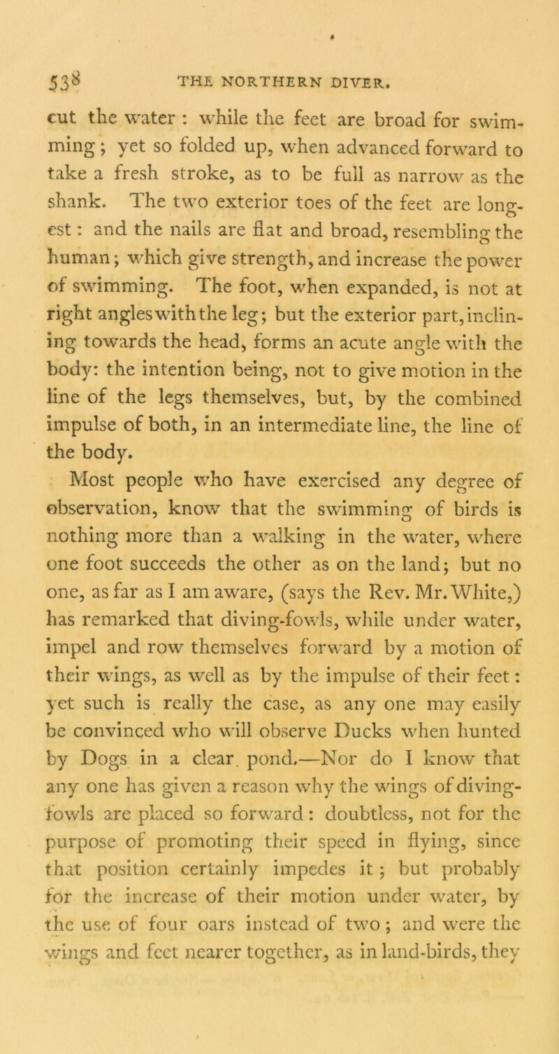 cut the water : while the feet are broad for swim- ming ; yet so folded up, when advanced forward to take a fresh stroke, as to be full as narrow as the shank. The two exterior toes of the feet are long- est : and the nails are flat and broad, resembling the human; which give strength, and increase the power of swimming. The foot, when expanded, is not at right angles with the leg; but the exterior part, inclin- ing towards the head, forms an acute angle with the body: the intention being, not to give motion in the line of the legs themselves, but, by the combined impulse of both, in an intermediate line, the line of the body. Most people who have exercised any degree of observation, know that the swimming of birds is nothing more than a walking in the water, where one foot succeeds the other as on the land; but no one, as far as I am aware, (says the Rev. Mr. White,) has remarked that diving-fowls, while under water, impel and row themselves forward by a motion of their wings, as well as by the impulse of their feet: yet such is really the case, as any one may easily be convinced who will observe Ducks v^hen hunted by Dogs in a clear, pond.—Nor do I know that any one has given a reason why the wings of diving- fowls are placed so forward: doubtless, not for the purpose of promoting their speed in flying, since that position certainly impedes it; but probably for the increase of their motion under water, by the use of four oars instead of two; and were the wings and feet nearer together, as in land-birds, they