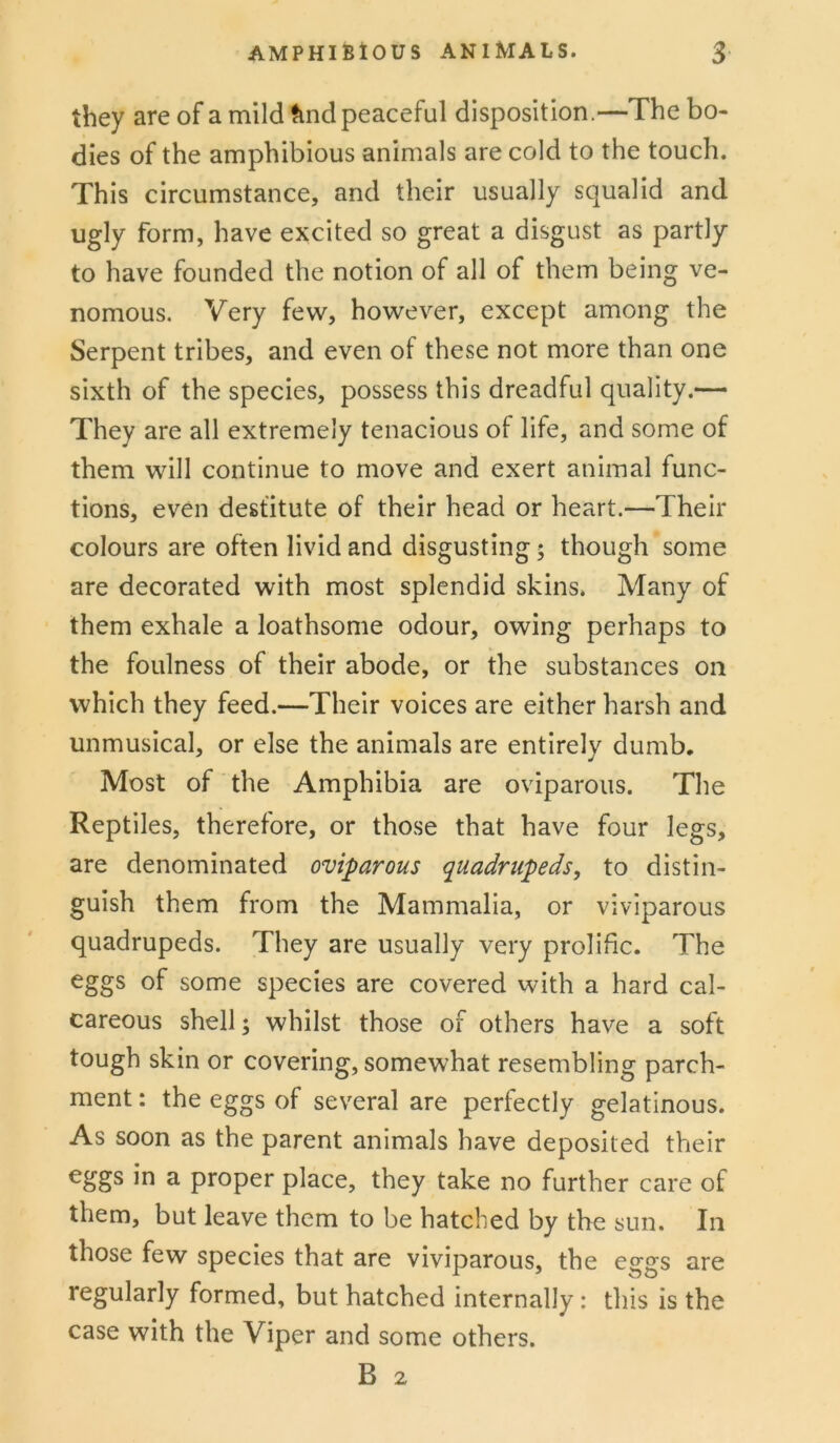 they are of a mild ^nd peaceful disposition.—The bo- dies of the amphibious animals are cold to the touch. This circumstance, and their usually squalid and ugly form, have excited so great a disgust as partly to have founded the notion of all of them being ve- nomous. Very few, however, except among the Serpent tribes, and even of these not more than one sixth of the species, possess this dreadful quality.— They are all extremely tenacious of life, and some of them will continue to move and exert animal func- tions, even destitute of their head or heart.—Their colours are often livid and disgusting; though some are decorated with most splendid skins. Many of them exhale a loathsome odour, owing perhaps to the foulness of their abode, or the substances on which they feed.—Their voices are either harsh and unmusical, or else the animals are entirely dumb. Most of the Amphibia are oviparous. The Reptiles, therefore, or those that have four legs, are denominated oviparous quadrupeds, to distin- guish them from the Mammalia, or viviparous quadrupeds. They are usually very prolific. The eggs of some species are covered with a hard cal- careous shell; whilst those of others have a soft tough skin or covering, somewhat resembling parch- ment: the eggs of several are perfectly gelatinous. As soon as the parent animals have deposited their eggs in a proper place, they take no further care of them, but leave them to be hatched by the sun. In those few species that are viviparous, the eggs are regularly formed, but hatched internally: this is the case with the Viper and some others.