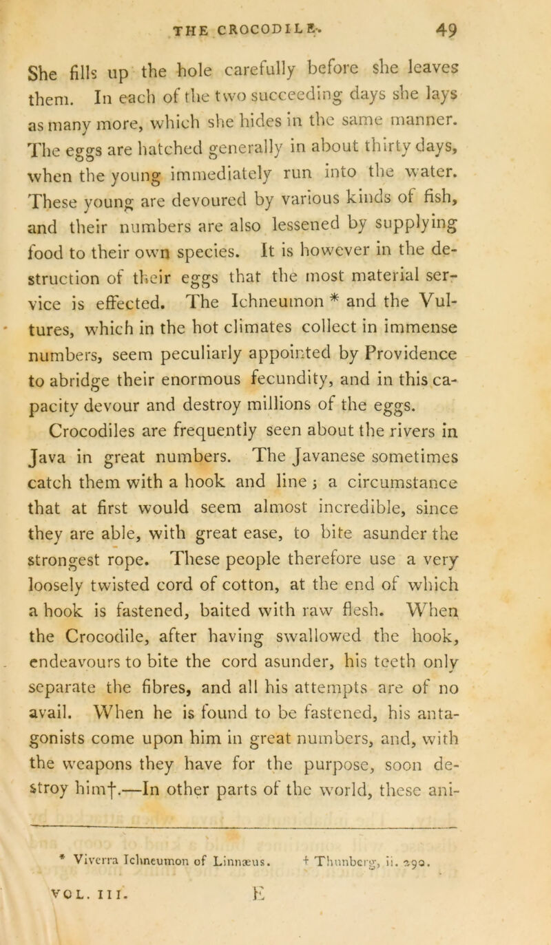 She fills up the hole carefully before she leaves them. In each of the two succeeding days she lays as many more, which she hides in the same manner. The eggs are hatched generally in about thirty days, when the young immediately run into the water. These young are devoured by various kinds of fish, and their numbers are also lessened by supplying food to their own species. It is however in the de- struction of their eggs that the most material ser- vice is effected. The Ichneumon * and the Vul- • tures, which in the hot climates collect in immense numbers, seem peculiarly appoii-ted by Providence to abridge their enormous fecundity, and in this,ca- pacity devour and destroy millions of the eggs. Crocodiles are frequently seen about the rivers in Java in great numbers. The Javanese sometimes catch them with a hook and line 5 a circumstance that at first would seem almost incredible, since they are able, with great ease, to bite asunder the strongest rope. These people therefore use a very loosely twisted cord of cotton, at the end of which a hook is fastened, baited with raw flesh. When the Crocodile, after having swallowed the hook, endeavours to bite the cord asunder, his teeth only separate the fibres, and all his attempts are of no avail. When he is found to be fastened, his anta- gonists come upon him in great numbers, and, with the weapons they have for the purpose, soon de- stroy himf.—In other parts of the world, these ani- * Viverra Iclmcumon of Linnseus. VOL. Ilf. K + Thunberg, ii. ^90.