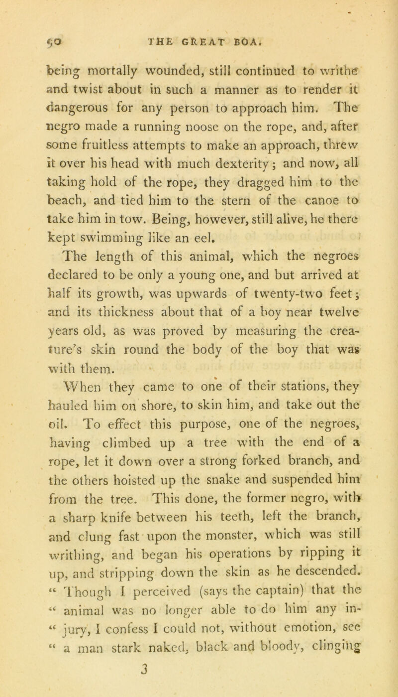 being mortally wounded, still continued to writhtf and twist about in such a manner as to render it dangerous for any person to approach him. The negro made a running noose on the rope, and, after some fruitless attempts to make an approach, threw it over his head with much dexterity; and now, all taking hold of the rope, they dragged him to the beach, and tied him to the stern of the canoe to / take him in tow. Being, however, still alive, he there kept swdmming like an eel. The length of this animal, which the negroes declared to be only a young one, and but arrived at half its growth, was upwards of tw’enty-tw^o feet; and its thickness about that of a boy near twelve years old, as was proved by measuring the crea- ture's skin round the body of the boy that was with them. When they came to one of their stations, they hauled him on shore, to skin him, and take out the oil. To effect this purpose, one of the negroes, having climbed up a tree wdth the end of a rope, let it dowm over a strong forked branch, and the others hoisted up the snake and suspended him from the tree. This done, the former negro, with a sharp knife betw^een his teeth, left the branch, and clung fast* upon the monster, w’hich was still writhing, and began his operations by ripping it up, and stripping dowm the skin as he descended. “ Though 1 perceived (says the captain) that the “ animal w'as no longer able to do him any in- jury, 1 confess 1 could not, wdthout emotion, see stark naked. black and bloody, clinging a man