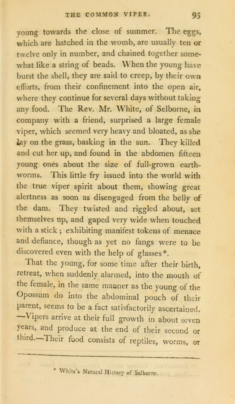 voiing towards the close of summer. The eggs, which are hatched in the womb, are usually ten or twelve only in number, and chained together some- what like a string of beads. When the young have burst the shell, they are said to creep, by their own efforts, from their confinement into the open air, where they continue for several days without taking any food. The Rev. Mr. White, of Selborne, in company with a friend, surprised a large female viper, which seemed very heavy and bloated, as she lay on the grass, basking in the sun. They killed and cut her up, and found in the abdomen fifteen young ones about the size of full-grown earth- worms. This little fry issued into the world with the true viper spirit about them, showing great alertness as soon as disengaged from the belly of the dam. They twisted and riggled about, set themselves up, and gaped very wide when touched with a stick; exhibiting manifest tokens of menace and defiance, though as yet no fangs were to be discovered even with the help of glasses*. That the young, for some time after their birth, retreat, when suddenly alarmed, into the mouth of the female, in the same manner as the young of the Opossum do into the abdominal pouch of their parent, seems to be a fact satisfactorily ascertained. —Vipers arrive at their full growth in about seven years, and produce at the end of their second or third. Their food consists of reptiles, worms, or hitc’s Natural History of Sdborne,