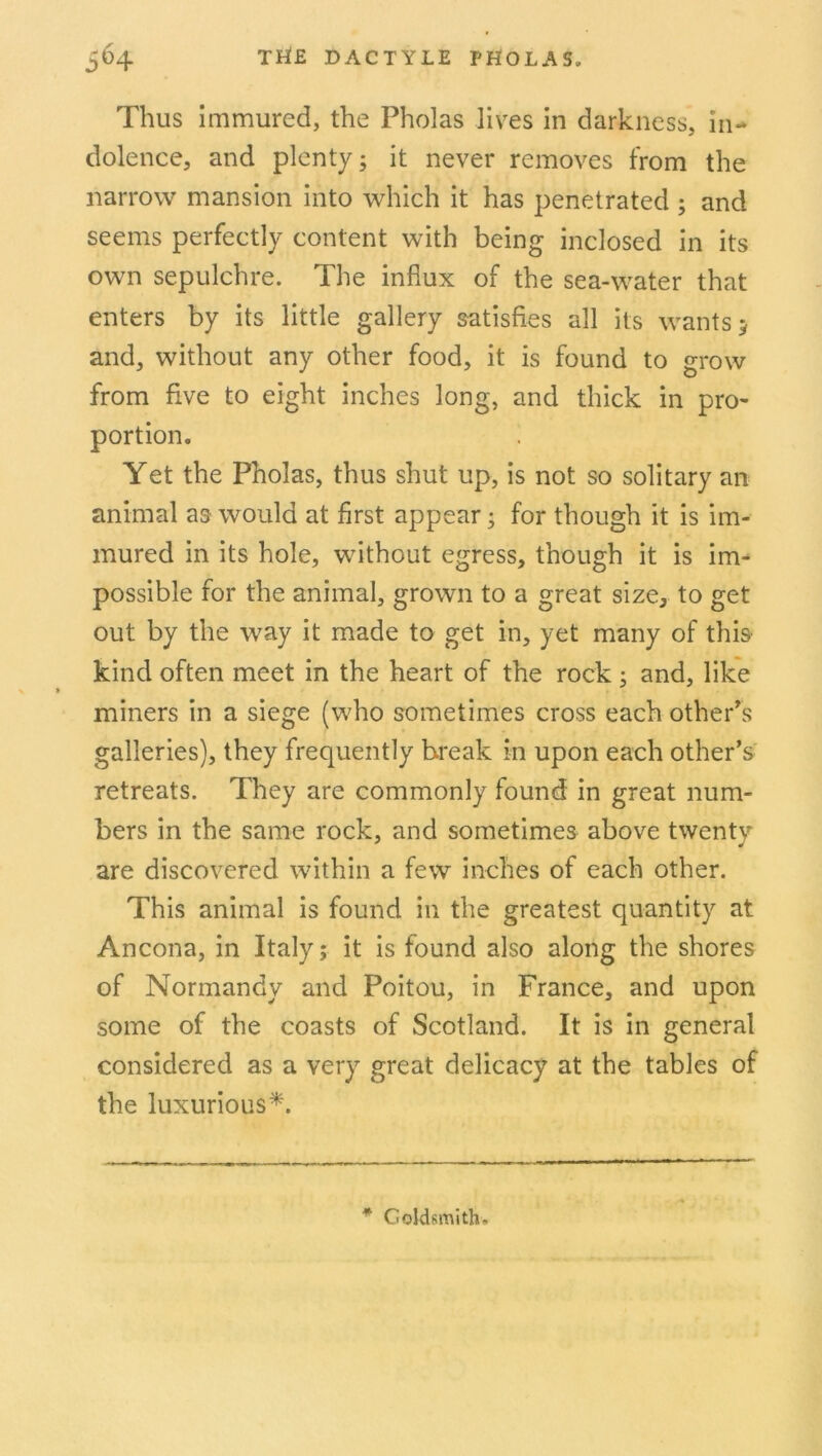 Thus immured, the Pholas lives in darkness, in- dolence, and plenty; it never removes from the narrow mansion into which it has penetrated ; and seems perfectly content with being inclosed in its own sepulchre. The influx of the sea-water that enters by its little gallery satisfies all its wants; and, without any other food, it is found to grow from five to eight inches long, and thick in pro- portion. Yet the Pholas, thus shut up, is not so solitary an animal as would at first appear; for though it is im- mured in its hole, without egress, though it is im- possible for the animal, grown to a great size, to get out by the way it made to get in, yet many of this kind often meet in the heart of the rock ; and, like miners in a siege (who sometimes cross each other^s galleries), they frequently break in upon each other’s retreats. They are commonly found in great num- bers in the same rock, and sometimes above twenty are discovered within a few inches of each other. This animal is found in the greatest quantity at Ancona, in Italy; it is found also along the shores of Normandy and Poitou, in France, and upon some of the coasts of Scotland. It is in general considered as a very great delicacy at the tables of the luxurious^. * Goldsmith.