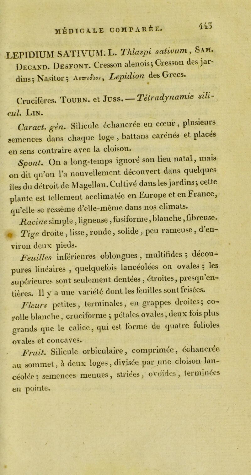 LEPIDIUM SATIVUM.L. Thlaspi sativum, Sam. Decand. Desfont. Cresson alenois; Cresson des jar- dins-, Nasitor^ Ae-stiJ'jov, Lepidion desGiecs. Crucifères. Tourn. et Juss. — Tétrcidynamie sih- cul. Lin. Caract.gén. Silicule échancrée en cœur, plusieurs semences dans chaque loge , baltans carénés et placés en sens contraire avec la cloison. Spont. On a long-temps ignoré son lieu natal, mais on dit qu’on l’a nouvellement découvert dans quelques îles du détroit de Magellan. Cultivé dans les jardins; cette plante est tellement acclimatée en Europe et en France, quelle se ressème d’elle-même dans nos climats. Racine simple, ligneuse, fusiforme, blanche, fibreuse. q Tige droite , lisse, ronde, solide, peu rameuse, d en- viron deux pieds. Feuilles inférieures ohlongues , multihdes ; décou- pures linéaires , quelquefois lancéolées ou ovales ; les supérieures sont seulement dentées, étroites, presqu en- tières. 11 y a une variété dont les feuilles sont frisées. Fleurs petites, terminales, en grappes droites; co- rolle blanche, cruciforme ; pétales ovales, deux fois plus grands que le calice, qui est formé de quatre folioles ovales et concaves. Fruit. Silicule orbiculaire, comprimée, échancrée au sommet, à deux loges, divisée par une cloison lan- céolée ; semences menues, striees, ovoides, terminées eu pointe.