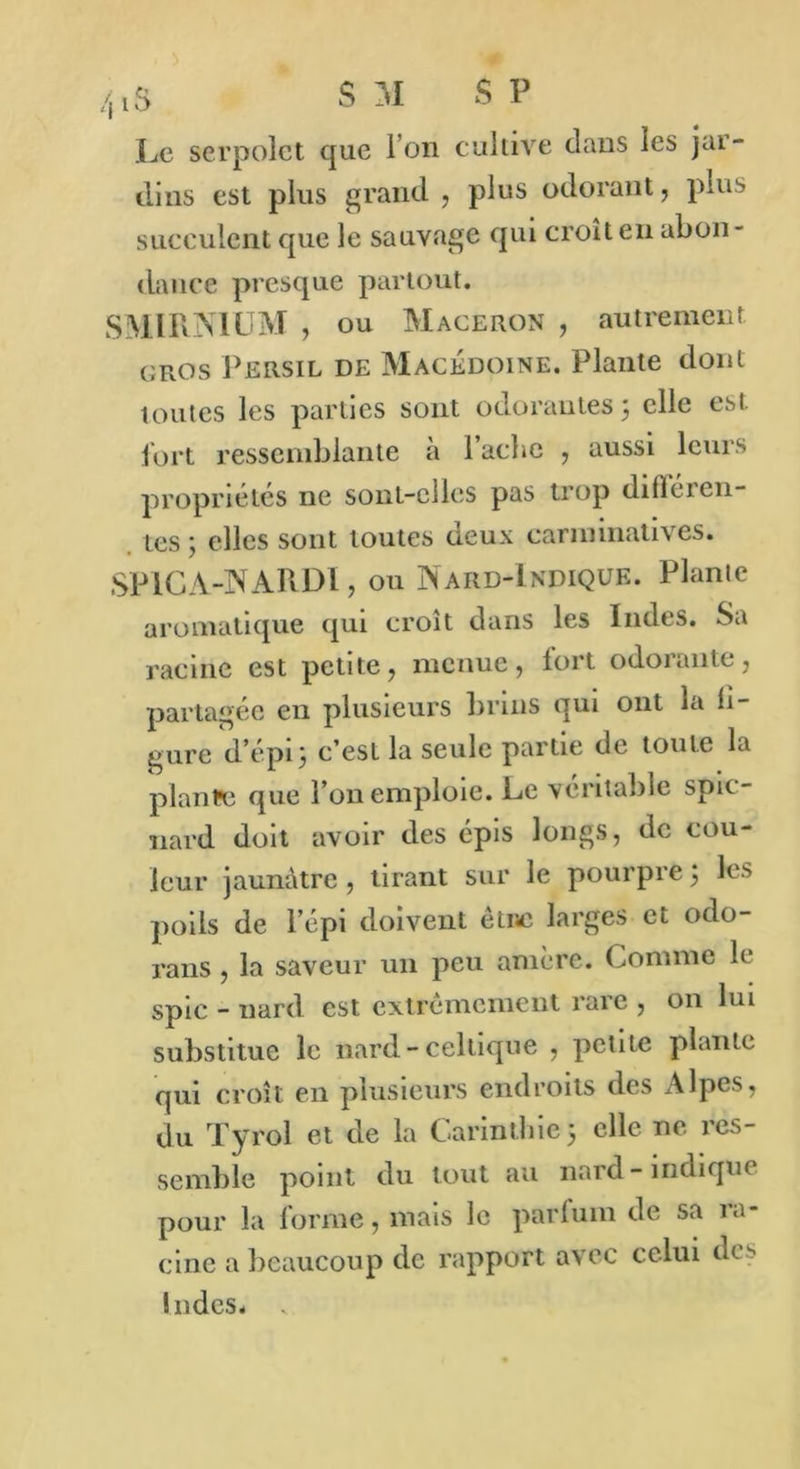 Le serpolet que I on cultive dans les jar- dins est plus grand , plus odorant, pins succulent que le sauvage qui croît en abon- dance presque partout. SMIRN1UM , ou Maceron , autrement gros Persil de Macédoine. Plante dont toutes les parties sont odorantes ; elle est fort ressemblante à l’acbe , aussi leurs propriétés ne sont-elles pas trop difiéien- tes ; elles sont toutes deux carminatives. SPICA-NARDÏ, ou Nard-Indique. Plante aromatique qui croît dans les Indes. Sa racine est petite, menue, fort odorante, partagée en plusieurs brins qui ont la li- gure d’épi 3 c’est la seule partie de toute la plante que l’on emploie. Le véritable spic- nard doit avoir des épis longs, de cou- leur jaunâtre, tirant sur le pourpre ; les poils de l’épi doivent être larges et odo- rans , la saveur un peu amère. Comme le spic - nard est extrêmement rare , on lui substitue le nard-celtique , petite plante qui croît en plusieurs endroits des Alpes, du Tyrol et de la C.arinthiej elle ne res- semble point du tout au nard-indique pour la forme, mais le parfum de sa ra- cine a beaucoup de rapport avec celui des Indes, v
