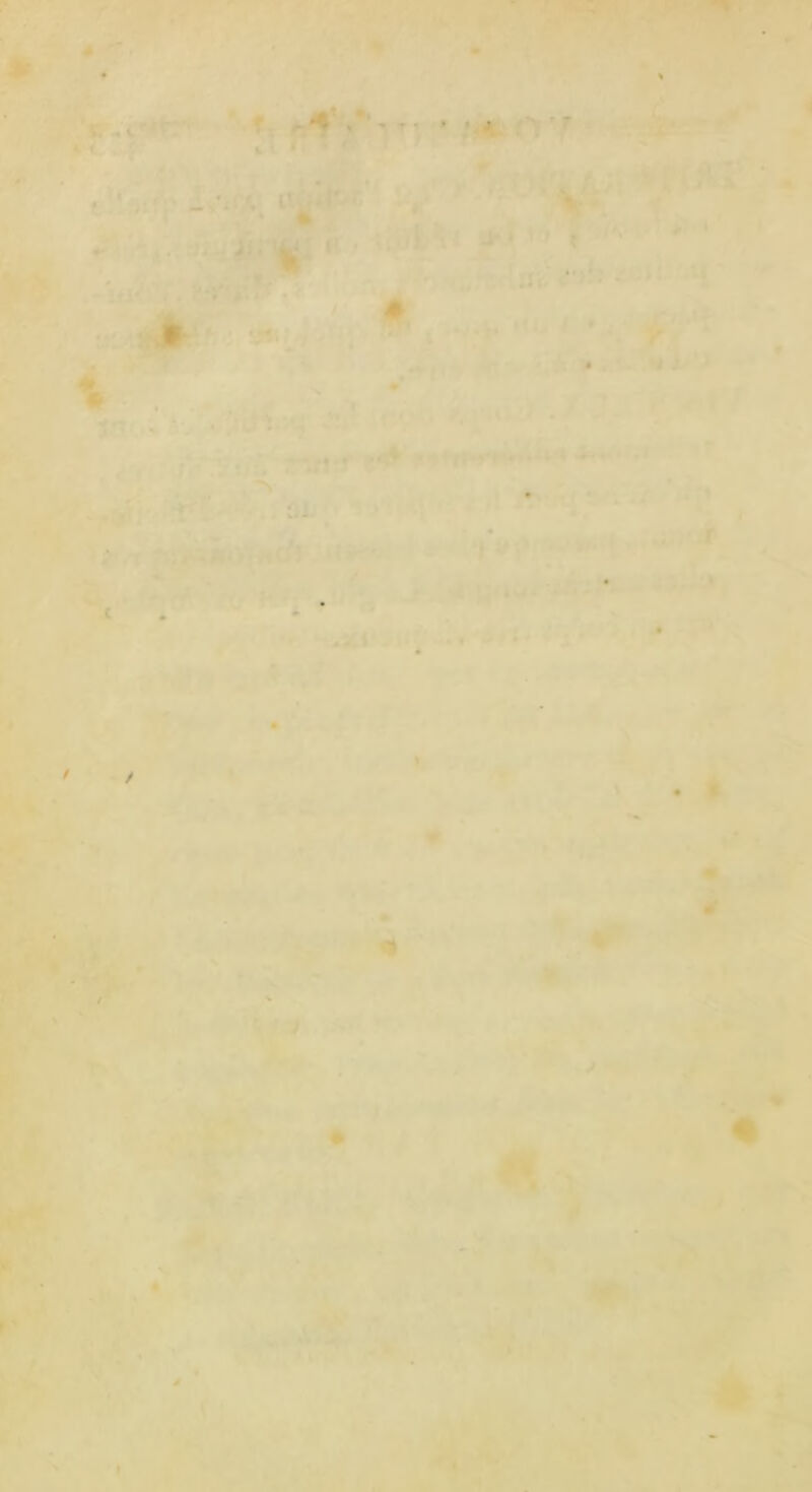 ' ' •  7 ^ i “-y y , _