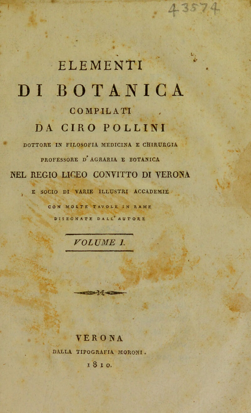 . 4-3'7 4 ELEMENTI DI BOTANICA COMPILATI DA CIRO POLLINI DOTTORE IN FILOSOFIA MEDICINA E CHIRURGIA PROFESSORE D* AGRARIA E BOTANICA NEL REGIO LICEO CONVITTO DI VERONA E SOCIO DI VARIE ILLUSTRI ACCADEMIE I ■> CON MOLTE TAVOLE IN RAME DISECCATE DALL’AUTORE “.v, '-V- . VOLUME 1. »Y A VERONA DALLA TIPOGRAFIA MQRONI