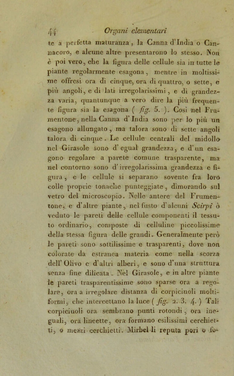 te a perfetta maturanza , la Canna d’india o Can- nacoro, e alcune altre presentarono lo stesso. Non c poi vero, che la figura delle cellule sia in tutte le piante regolarmente esagona, mentre in moltissi- me offrcsi ora di cinque, ora di quattro, o sette, e più angoli, e di lati irregolarissimi, e di grandez- za varia, quantunque a vero dire la più frequen- te figura sia la ejagona ( fig. 5. ). Così nel Fru- mentone, nella Canna d’india sono per lo più un esagono allungato , ma talora sono di sette angoli talora di cinque. Le cellule centrali del midollo nel Girasole sono d’egual grandezza, e d’un esa- gono regolare a parete comune trasparente, ma nel contorno sono d’irregolarissima grandezza e fi- gura , e le cellule si separano sovente fra loro colle proprie tonache punteggiate, dimorando sul vetro del microscopio. Nelle antere del Frumen- tone, e d’altre piante, nel fusto d'alcuni Stirpi ò veduto le pareli delle cellule componenti il tessu- to ordinario, composte di celluline piccolissime della stessa figura delle grandi. Generalmente però le pareti sono sottilissime e trasparenti, dove non colorate da estranea materia come nella scorza dell’Olivo c d’altri alberi, e sono d’una struttura senza fine dilicata _ Nel Girasole, e in altre piante le pareti trasparentissime sono sparse ora a rego- lare, ora a irregolare distanza di corpiciuoli molti- formi, che intercettano la luce ( fig. 2. 3. 4- ) Tali corpiciuoli ora sembrano punti rotondi , ora ine- guali, ora lineette, ora formano esilissimi cerchiet- ti, o mezzi cerchietti. Mirbel li reputa pori o fo-