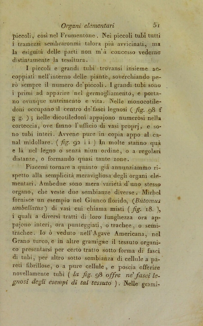 piccoli, così nel Frumentone . Nei piccoli tubi tutti i tramezzi sembraronmi talora più avvicinati, ina la esiguità delle parti non m’à concesso vederne distintamente la tessitura. I piccoli e grandi tubi trovansi insieme ac- coppiali nell’interno delle piante, soverchiando pe- rò sempre il numero de’piccoli . I grandi tubi sono i primi ad apparire nel germogliamento, e porta- no ovunque nutrimento e vita. INelle monocotile- doni occupano il centro de’fasci legnosi ( fig. gS f g g. ) 5 nelle dicotiledoni appajono numerosi nella corteccia, ove fanno l’ufficio di vasi proprj, e so- no tubi interi. Avvene pure in copia appo al ca- nal midollare. ( fig. 92 i i ) Li molte stanno qua e là nel legno o senza ni un ordine, 0 a regolari distanze, o formando quasi tante zone. Piacemi tornare a quanto già annunziammo ri- spetto alla semplicità meravigliosa degli organi ele- mentari. Ambedue sono mera varietà d’uno stesso organo, che veste due sembianze diverse. Mirbel fornisce un esempio nel Giunco florido, (Butomus umbeliatus') di vasi cui chiama misti ( fig. 18. ), i quali a diversi tratti di loro lunghezza ora ap- pajono interi, ora punteggiati, o trachee, o semi- trachee. Io ò veduto nell’Agave Americana, nel Grano turco, e in altre gramigne il tessuto organi- co presentarsi per certo tratto sotto forma di fasci di tubi, per altro sotto sembianza di cellule a pa- reti lìbrillose, o a pure cellule, e poscia offerire novellamente tubi ( la fig. 98 offre ne fasci le- gnosi degli esempi di tal tessuto ). JNelIe grami-