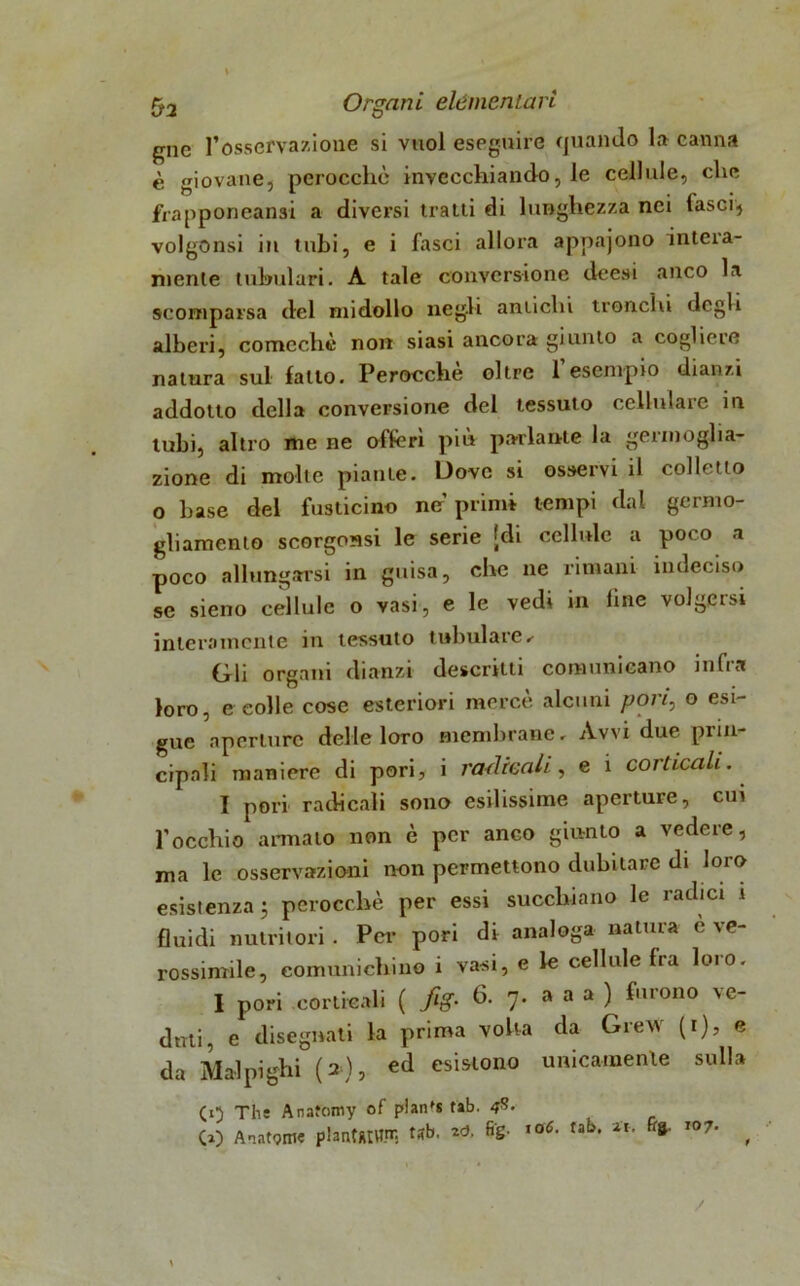 gne l’osservazione si vuol eseguire quando la canna è giovane, perocché invecchiando, le cellule, che frapponeansi a diversi tratti di lunghezza nei lasci} volgOnsi ili tubi, e i fasci allora apnajono inteia- nienle tabulari. A tale conversione deesi anco la scomparsa del midollo negli antichi tronchi degli alberi, comeché non siasi ancora giunto a cogliere natura sul fatto. Perocché oltre l’esempio dianzi addotto della conversione del tessuto cellulare in tubi, altro me ne offerì più parlante la germoglia* zione di molte piante. Dove si osservi il colletto o base del fusticino no primi tempi dai germo- gliamento scorgersi le serie [di cellule a poco a poco allungarsi in guisa, che ne rimani indeciso se sieno cellule o vasi, e le vedi in line volgersi interamente in tessuto tabulare ✓ Gli organi dianzi descritti comunicano infra loro, e colle cose esteriori mercé alcuni pori, o esi- gue aperture delle loro membrane. Avvi due prin- cipali maniere di pori, i radicali, e 1 corticali. I pori radicali sono esilissime aperture, cui Tocchio armato non è per anco giunto a vedere, ma le osservazioni non permettono dubitare di loro esistenza 5 perocché per essi succhiano le radici i fluidi nutritori . Per pori di analoga natura e ve- rosimile, comunichino i vasi, e le cellule fra loro. I pori corticali ( fig. 6. 7. a a a ) furono ve- duti, e disegnati la prima volta da Grew (1), e da Malpighi (2), ed esistono unicamente sulla CO The Anafomy of plan's tab. -f8- co A'iatpme plantRIWtr. tab. fife- to£• tab* I07‘ ,