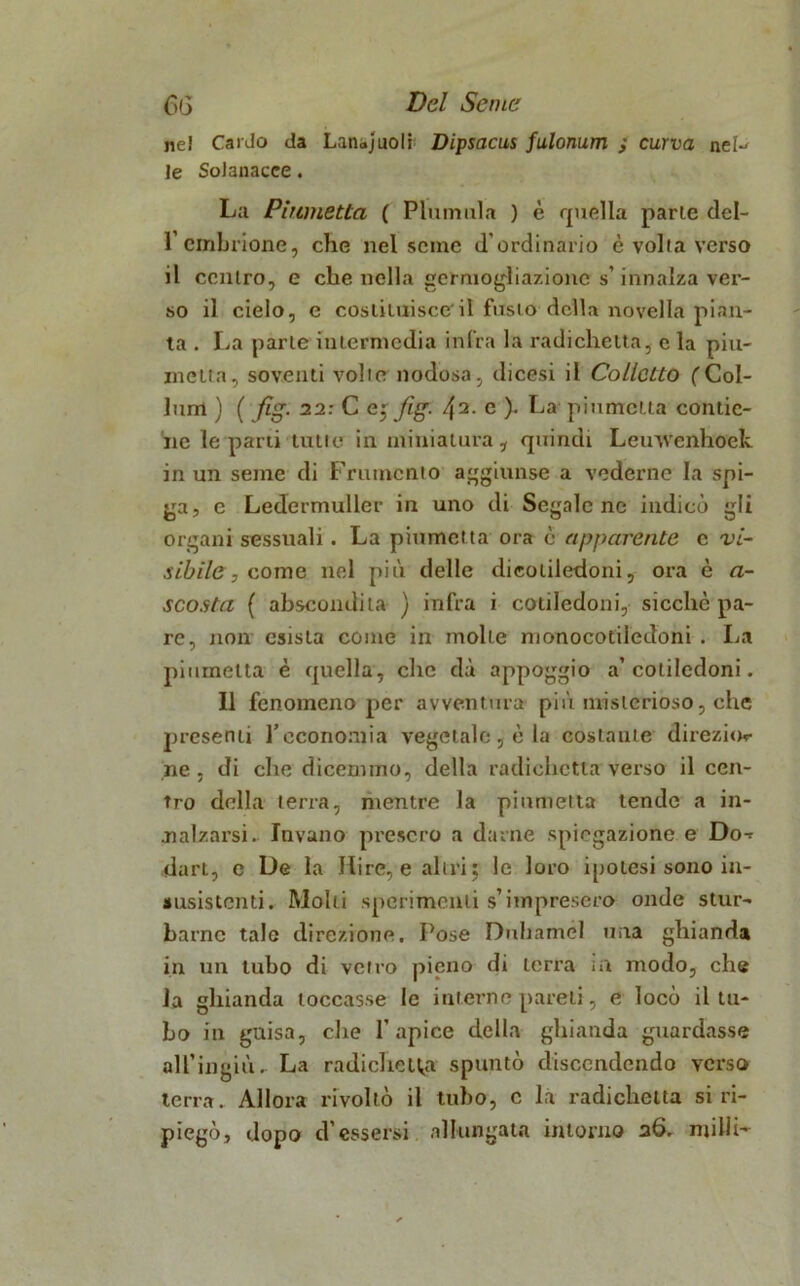 nel Cardo da Lana]uoIr Dipsacus fulonum ; curva nel-' le SoJanacce. L;i Pìumetta ( Plumai a ) è quella parie del- l’embrione, che nel scine d’ordinario è volta verso il centro, e che nella germogliazionc s’innalza ver- so il cielo, e costituisce'il fusto della novella pian- ta . La parte intermedia infra la radichetta, e la piu- mclta, soventi volte nodosa, dicesi il Collctto ('Col- limi ) ( fig. 22: C ej fig. /\2. e ). La piumetta contie- ne le parti tutte in miniatura, quindi Leuvvenhoek. in un seme di Frumento aggiunse a vederne la spi- ga, e Ledermuller in uno di Segale ne indicò gli organi sessuali. La piumetta ora è apparente c vi- sibile, come nel più delle dieoliledoni, ora è a- scosta ( abscondita ) infra i cotiledoni, sicché pa- re, non esista come in molle monocotiledoni . La piumetta è quella, che dà appoggio a’cotiledoni. Il fenomeno per avventura più misterioso, che presenti l’economia vegetale, è la costante direzion- ile , di che dicemmo, della radichetta verso il cen- tro della terra, mentre la piumetta tende a in- nalzarsi. Invano presero a darne spiegazione e Do- dari, e De la Mire, e altri: le loro ipotesi sono iu- «usistcnti. Molti sperimenti s’impresero onde stur- barne tale direzione. Pose Duhamel una ghianda in un tubo di vetro pieno di terra ai modo, che la ghianda toccasse le interne pareli, e locò il tu- bo in guisa, che l’apice della ghianda guardasse all’ingiù. La radichetta spuntò discendendo verso terra. Allora rivoltò il tubo, c la radichetta si ri- piegò, dopo d’essersi allungata intorno 26. milli-