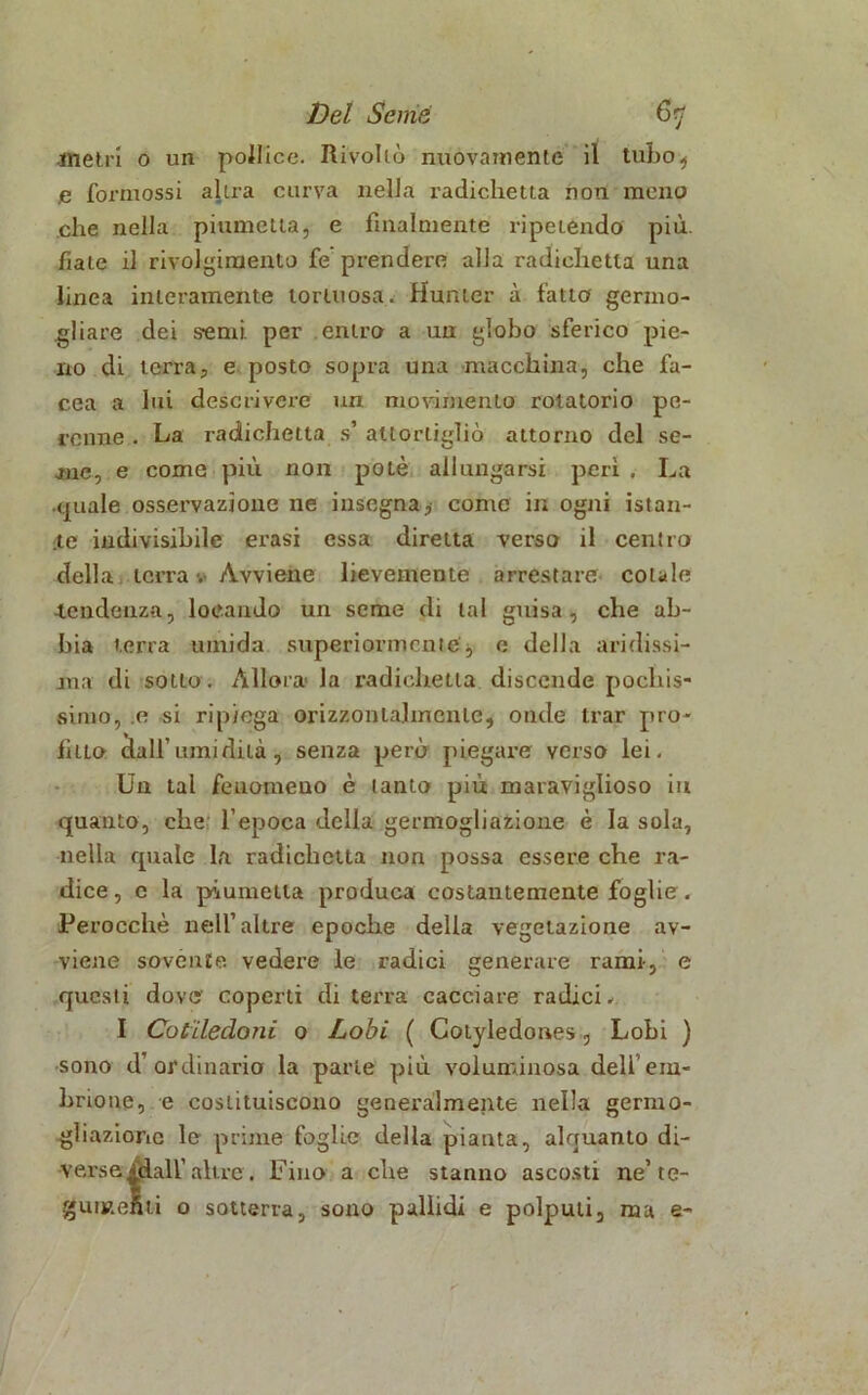 metri 0 un podice. Rivoltò nuovamente il tubo, .e formossi altra curva nella radichetta non meno che nella piumetta, e finalmente ripetendo più. fiale il rivolgimento fe prendere alla radichetta una linea interamente tortuosa. Hunter à fatto germo- gliare dei semi, per entro a un globo sferico pie- no di terra, e posto sopra una macchina, che fia- cca a lui descrivere un movimento rotatorio pe- renne . La radichetta s’ attortigliò attorno del se- me, e come più non poLè allungarsi perì. La (piale osservazione ne insegna,- come in ogni istan- te indivisibile evasi essa diretta verso il centro della terra v Avviene lievemente arrestare colale tendenza, locando un seme di lai guisa, che ab- bia terra umida superiormente'j, e della aridissi- ma di sotto. Allora- la radichetta discende pochis- simo, .e si ripiega orizzontalmente, onde trar pro- fitto dall’umidità, senza però piegare verso lei. Un tal fenomeno è tanto più maraviglioso in quanto, che l’epoca della germogliazione è la sola, nella quale la radichetta non possa essere che ra- dice, c la piumetta produca costantemente foglie . Perocché nell’altre epoche della vegetazione av- viene sovente vedere le radici generare rami-, e questi dove' coperti di terra cacciare radici* I Cotiledoni o Lobi ( Cotyledones, Lobi ) sono d’ordinario la parie più voluminosa dell’em- brione, e costituiscono generalmente nella gernio- gliazionc le prime foglie della pianta, alquanto di- verse fidali’altre. Fino a che stanno ascosti ne’ te- gumenti o sotterra, sono pallidi e polputi, ma e-