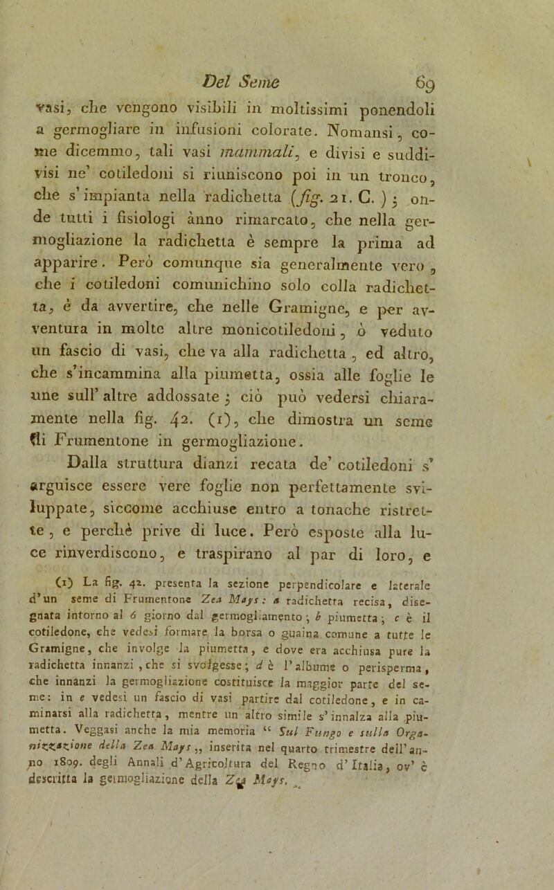 vasi, die vengono visibili in moltissimi ponendoli a germogliare in infusioni colorate. Noniànsi, co- me dicemmo, tali vasi inammali, e divisi e suddi- visi ne’ cotiledoni si riuniscono poi in un tronco, che s’impianta nella radiclietta (fig. 21. C. ) 5 on- de tutti i fisiologi anno rimarcato, che nella ger- mogliazione la radiclietta è sempre la prima ad apparire. Però comunque sia generalmente vero , che i cotiledoni comunichino solo colla radichet- ta, è da avvertire, che nelle Gramigne, e per av- ventura in molte altre monicotiledoni, ò veduto un fascio di vasi, che va alla radiclietta , ed altro, che s’incammina alla pinmetta, ossia alle foglie le une sull’ altre addossate 5 ciò può vedersi chiara- mente nella fig. 42- CO? che dimostra un seme tfi Frumentone in germogliazione. Dalla struttura dianzi recata de’ cotiledoni s’ arguisce essere vere foglie non perfettamente svi- luppate, siccome acchiuse entro a tonache ristret- te , e perchè prive di luce. Però esposte alla lu- ce rinverdiscono, e traspirano al par di loro, e CO La fig. 42. preserva la sezione perpendicolare e laterale ci’un seme di Frumentone Zea Ma fi : a radichetra recisa, dise- gnata intorno al 6 giorno dal germogliamento ; b piumetta ; c è il cotiledone, che vede*! formare la borsa o guaina comune a tutte le Gramigne, che involge la piumetta, e dove era acchiusa pure la radichctta innanzi,che si svolgesse; db l’albume o perisperma, che innanzi la germogliazione costituisce la maggior parte del se- me: in e vedesi un fascio di vasi partire dal cotiledone, e in ca- minarsi alla radichetta , mentre un altro simile s’innalza alla piu- metta. Vcggasi anche la mia memoria “ Sul Fungo e sulla Orga- n>zZ.tZ‘o>ie diti a Zea Mays,, inserita nel quarto trimestre dell'an- no 1809. degli Annali d’Agricoltura del Regno d’Italia, ov’ c descritta la getmogliaziane della Z<$ Mafs. ^