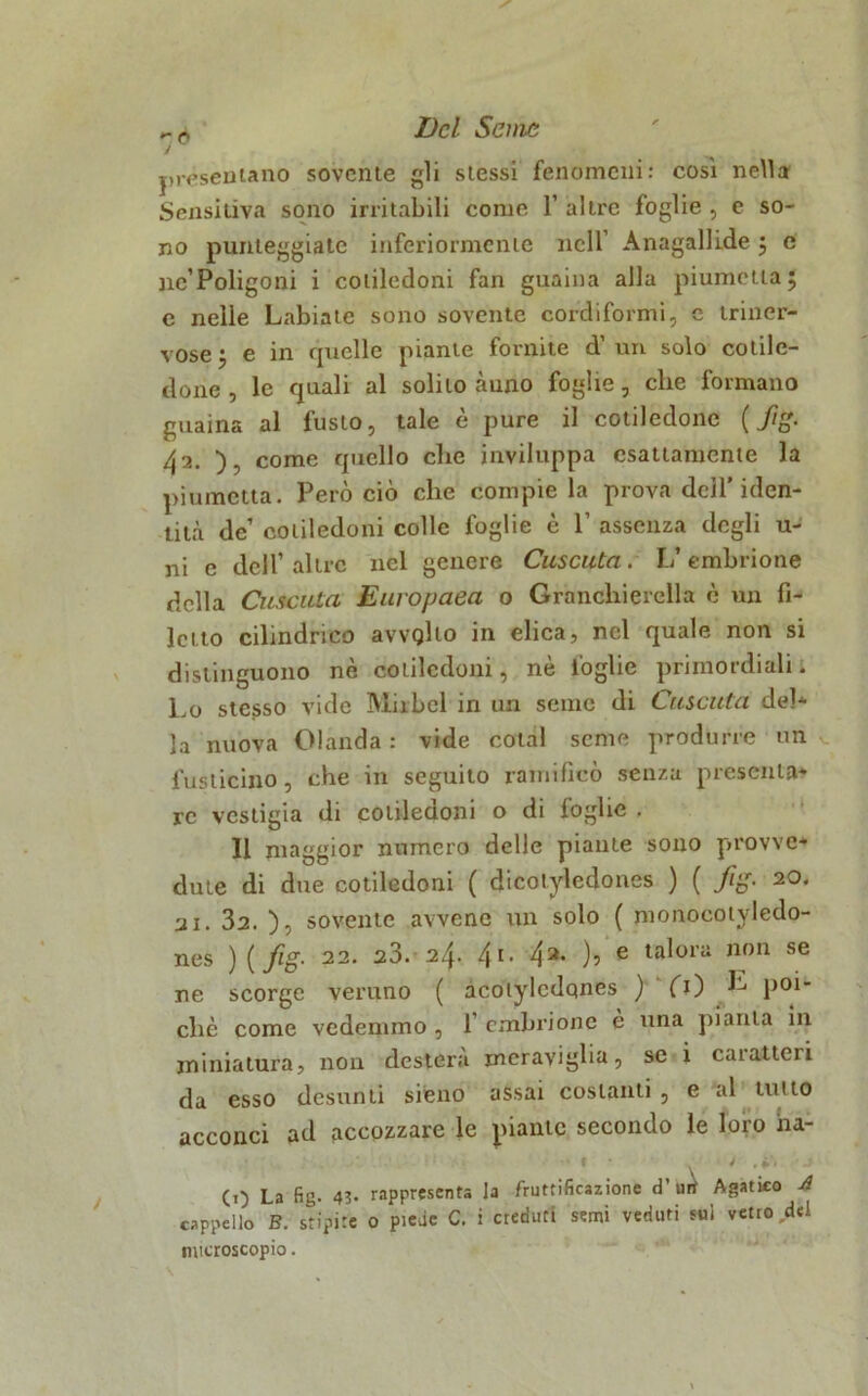 presentano sovente gli stessi fenomeni: così nella Sensitiva sono irritabili come F altre foglie , e so- no punteggiate inferiormente nell Anagalli.de j e ne’Poligoni i cotiledoni fan guaina alla piumettaj c nelle Labiate sono sovente cordiformi, c triner- vose 5 e in quelle piante fornite d’un solo cotile- done, le quali al solilo àuno foglie, che formano guaina al fusto, tale è pure il cotiledone ( fi£. 42. ), come quello che inviluppa esattamente la piumctta. Però ciò che compie la prova dcìl’iden- tità de’ cotiledoni colle foglie è F assenza degli u- ni e dell’altre nel genere Cuscuta. L’embrione della Cuscuta Europaea 0 Granchierella è un fi- letto cilindrico avvQho in elica, nel quale non si distinguono nè cotiledoni, nè foglie primordiali. Lo stesso vide Mirbel in un seme di Cuscuta del- la nuova Olanda : vide colai seme produrre un fuslieino, che in seguito ramificò senza presenta- re vestigia di cotiledoni o di foglie . 11 maggior numero delle piante sono provve- dute di due cotiledoni ( dicotyledones ) ( fig. 20. 21. 32. ), sovente avvene un solo ( monocotyledo- nes ) ( fig. 22. 23. 24. 4i. 4®* )? e ta^01’a non se ne scorge veruno ( acotylcdqnes ) fi) p°i” che come vedemmo , 1 embrione e una pianta in miniatura, non desterà meraviglia, se i caratteri da esso desunti sieno assai costanti , e al tutto acconci ad accozzare le piante secondo le loro ha- (1) La fig. 43* rappresenta la fruttificazione d’urf Agatieo A cappello B. stipite o piede C. i creduti semi veduti sui vetro del microscopio.