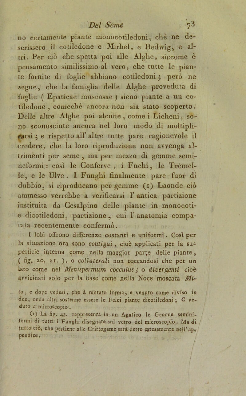 no certamente piante monocotiledoni, cliè ne de- scrissero il cotiledone e Mirbel, e Hedwig, e al- tri. Per ciò clie spetta poi alle Alghe, siccome è pensamento similissimo al vero, che tutte le pian- te fornite di foglie abbiano cotiledoni 5 però ne segue, che la famiglia delle Alghe proveduta di foglie ( Epaticae muscosae ) sieno piante a un co- tiledone , comechè ancora nón sia stato scoperto. Delle altre Alghe poi alcune , come i Licheni, so- no sconosciute ancora nel loro modo di moltipli- rarsi 5 e rispetto all’ altre tutte pare ragionevole il credere, che la loro riproduzione non avvenga al- trimenti per seme , ma per mezzo di gemme semi- neformi : così le Conferve, i Fuchi, le Tremel- le, e le Ulve. I Funghi finalmente pare fuor di dubbio, si riproducano per gemme (1) Laonde ciò ammesso verrebbe a verificarsi 1’ antica partizione instituita da Cesalpino delle piante in monocoti- e dicotiledoni, partizione, cui l’anatomia compa- rata recentemente confermò. I lobi offrono differenze costanti e uniformi. Così per la situazione ora sono contigui, cioè applicati per la su- perficie interna come nella maggior parte delle piante, ( fig. 10, zi. ). o collaterali non toccandosi che per un lato come nel Menispermum cocculus ; o divergenti cioè avvicinati solo per la base come nella Noce moscata Mi- to, e doye vedesi, phe à mutato forma, e venuto come diviso in due, onda altri sostenne essere le Felci piante dicotiledoni; C ve- duto a microscopio. CO La fig. 43. rappresenta in un Apatico le Gemme semini- formi di tutti i Funghi disegnate sul vetro del microscopio. Ma di tutro ciò, che psrticne alle Crittogame sarà detto estesamente nell’ap- pendice.