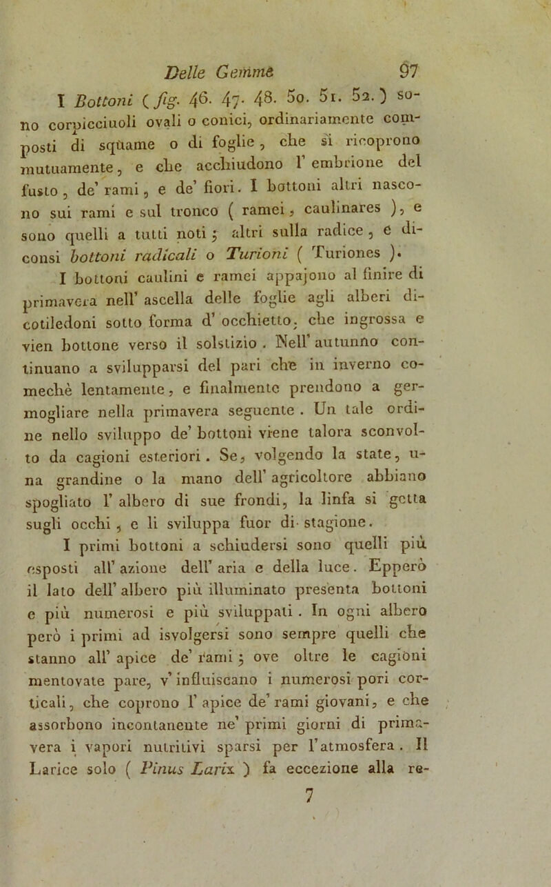 I Bottoni {fig. 46- 47- 48- 5o. 5i. 52.) so- no corpicciuoli ovali o conici, ordinariamente com- posti di sfittarne o di foglie, che si ricoprono mutuamente, e che acchiudono 1 embrione del fusto, de’ rami, e de’ fiori. I bottoni altri nasco- no sui rami e sul tronco ( ramei, cauhnaies ), e sono cpielli a tutti noti j altri sulla radice , e di- consi bottoni radicali o Turioni ( Turiones ). I bottoni cardini e ramei appajono al finire di primavera nell’ ascella delle foglie agli alberi di- cotiledoni sotto forma d’ occhietto, che ingrossa e vien bottone verso il solstizio . Nell autunno con- tinuano a svilupparsi del pari che in inverno co- mechè lentamente, e finalmente prendono a ger- mogliare nella primavera seguente . Un tale orai- ne nello sviluppo de’ bottoni viene talora sconvol- to da cagioni esteriori. Se, volgendo la state, u- na grandine o la mano dell agricoltore abbiano spogliato 1’ albero di sue frondi, la linfa si getta sugli occhi , e li sviluppa fuor di'stagione. I primi bottoni a schiudersi sono quelli piu esposti all’ azione dell’ aria e della luce. Epperò il lato dell’albero più illuminato presenta bottoni e più numerosi e più sviluppati. In ogni albero però i primi ad Svolgersi sono sempre quelli che stanno all’ apice de’ rami 5 ove oltre le cagióni mentovate pare, v’ influiscano i numerosi pori cor- ticali, che coprono l’apice de’rami giovani, e che assorbono incontanente ne’ primi giorni di prima- vera i vapori nutritivi sparsi per l’atmosfera . Il Larice solo ( Pinus Larix. ) fa eccezione alla re- 7