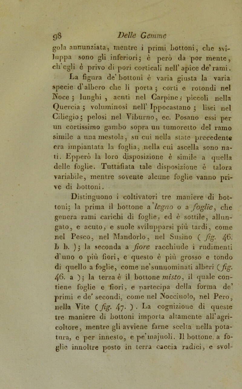 gola annunziata, mentre i primi bottoni, che svi- luppa sono gli inferiorij c però da por mente, eli egli è privo di pori corticali nell’apice de’rami. La figura de’ bottoni c varia giusta la varia specie d albero che li porla j corti e rotondi nel ÌNoce 3 lunghi , acuti nel Carpine ,• piccoli nella Quercia $ voluminosi nell’ Ippocastano 5 lisci nel Cilie gioj pelosi nel Viburno, ec. Posano essi per un cortissimo gambo sopra un tumoretto del ramo simile a una mestola, su cui nella state precedente era impiantata la foglia, nella cui ascella sono na- 1 i. Epperò la loro disposizione è simile a quella delle foglie. Tuttafiala tale disposizione è talora variabile, mentre sovente alcune foghe vanno pri- ve di bottoni. Distinguono i coltivatori tre maniere di bot- toni; la prima il bottone a legno o a foglie, che genera rami carichi di foglie, ed è sottile, allun- galo, e acuto, e suole svilupparsi più tardi, come nel Pesco, nel Mandorlo, nel Susino ( fig. /fi. h b. ); la seconda a fiore racchiude i rudimenti d’uno o più fiori, e questo è più grosso e tondo di quello a foglie, come ne’sunnominati alberi (fg. 46. a ) ; la terza è il bottone misto, il quale con- tiene foglie e fiori, e partecipa della forma de’ primi e de’secondi, come nel boccinolo, nel Pero, nella Vite ( fig. 47- ) • cognizione di queste tre maniere di bottoni importa altamente all’agri- coltore, mentre gli avviene farne scelta nella pota- tura, c per innesto, e pe’majuoli. Il bottone, a fo- ghe innollre posto in terra caccia radici, e svol-