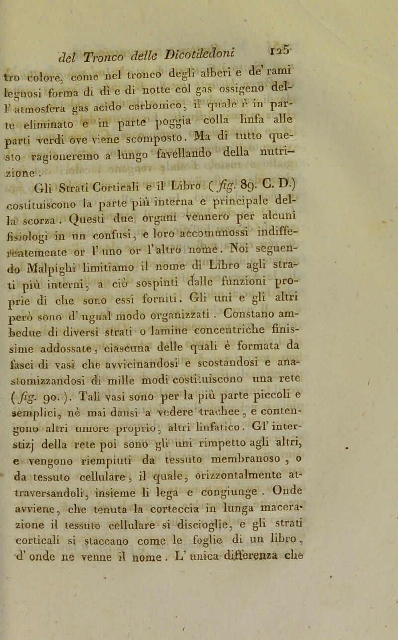 tro colore, come nel tronco degli alberi e de rami legnosi forma di dì e di notte col gas ossigeno del- 1’atmosfera gas acido carbonico, il quale c in pat- te eliminato e in parte poggia colla linfa alle parti verdi ove viene scomposto. Ma di tutto que- sto ragioneremo a lungo favellando della liuti i— zione . Gli Strati Corticali e il Libro ( fig. 89. C. D.) costituiscono la parte più interna e principale del- la scorza . Questi due organi vennero per alcuni fisiologi in un confusi, e loro accomunossi indiffe- rentemente or l’uno or l’altro nome. Noi seguen- do Malpiglii limitiamo il nome di Libro agli stra- ti più interni, a ciò sospinti dalle funzioni pro- prie di che sono essi forniti. Gli uni e gli altri però sono d’ ugual modo organizzati . Constano am- bedue di diversi strati 0 lamine concentriche finis- sime addossale, ciascuna delle quali e formala da fasci di vasi che avvicinandosi e scostandosi e ana- stomizzandosi di mille modi costituiscono una rete ( fig. 90. ). Tali vasi sono per la più parte piccoli e semplici, nè mai dansi a vedere trachee, e conten- gono altri umore proprio, altri linfatico. Gl inter- slizj della rete poi sono gli uni rimpetto agli altri, e vengono riempiuti da tessuto membranoso , o da tessuto cellulare, il quale, orizzontalmente at- traversandoli, insieme li lega c congiunge . Onde avviene, che tenuta la corteccia in lunga macera- zione il tessuto cellulare si discioglie, e gli strati corticali si staccano come le foglie di un libro, d’ onde ne venne il nome . L’ unica differenza che