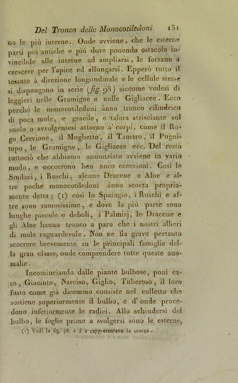 no le più interne. Onde avviene? che le esterne parti più antiche e più dure ponendo ostacolo in- vincibile alle interne ad ampliarsi, le forzano a crescere per l’apice ed allungarsi. Epperò tulio il lessalo à direzione longitudinale e le cellule stesse si dispongono in serie [fig. 9$) siccome vedesi di leggieri nelle Gramigne e nelle Gigliacee. Ecco perchè le monocolilcdoni anno tronco cilindrico di poca mole, e gracile, e talora strisciante sul suolo o avvolgentcsi attorno a’ corpi, come il Ro- go Cervione, il Mughetto, il Tamaro, il Pugni- topo , le Gramigne, le Gigliacee eòe. Del resto lutiociò che abbiamo annunzialo avviene in vario modo ? e occorrono ben anco eccezioni. Cosi le Snidaci, i Ruschi, alcune Dracene e Aloe e al- tre poche monocotiledoni anno scorza propria- mente detta 5 (0 così 1° Sparagio, i Ruschi e al- tre sono ramosissime, c dove la piu parte sono lunghe piccole e deboli, i Palmizj, le Dracene e gli Aloe hanno tronco a paro che i nostri alberi di mole raguardevole . IN011 ne fia grave pertanto scorrere brevemente su le principali famiglie del- la gran classe? onde comprendere tutte queste ano- malie . Incominciando dalle piante bulbose, poni ca- so , Giacinto, Narciso? Giglio, Tuberoso, il loro fusto come già dicemmo consiste nel colletto che sostiene superiormente il bulbose d’onde proce- dono inferiormente le radici. Allo schiudersi del bulbo, le foglie prime a svolgersi sono le esterne, (i) Vedi la fig. 98. e d e rappresentano la scorza.