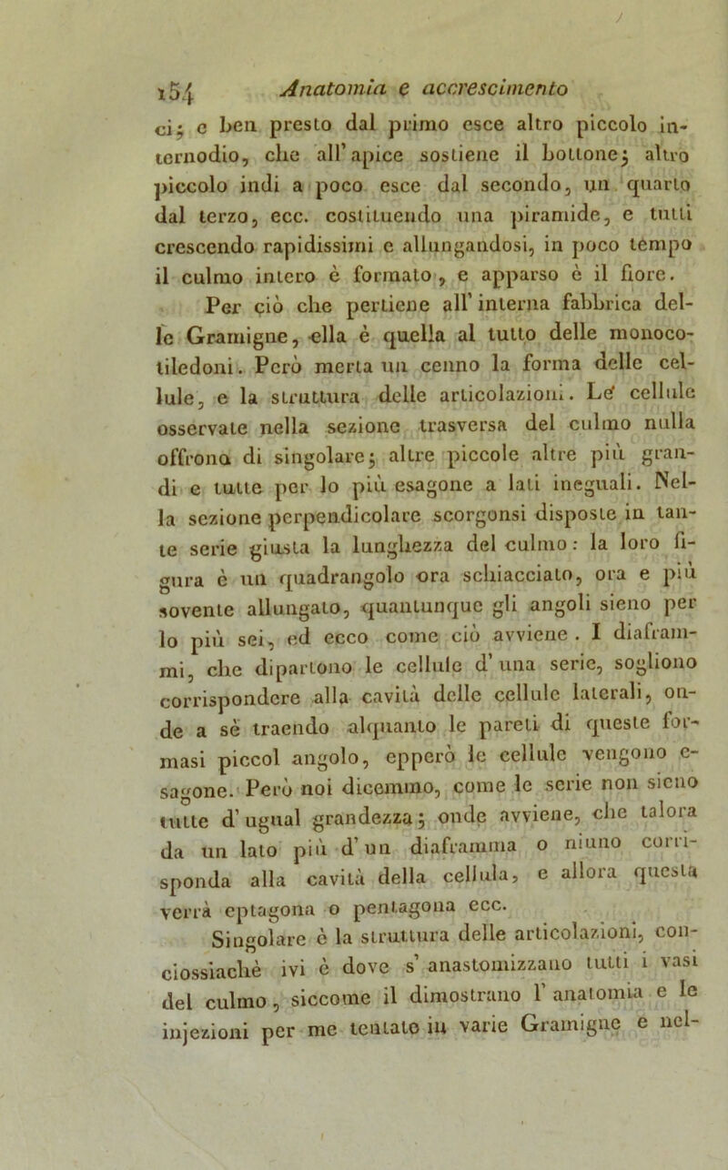 ci; c ben presto dal primo esce altro piccolo in- ternodio, che all’apice sostiene il bottone; altro piccolo indi a poco esce dal secondo, un quarto dal terzo, ecc. costituendo una piramide, e tutti crescendo rapidissimi e allungandosi, in poco tempo il culmo intero è formato, e apparso è il fiore. Per ciò che perlicne all’ interna fabbrica del- le Gramigne, «Ila è quella al tutto delle monoco- tiledoni . Però merta un cenno la forma delle cel- lule, e la struttura delle articolazioni. Lef cellule osservate nella sezione trasversa del culmo nulla offrono di singolare; altre piccole altre più gran- di e tutte per lo più esagone a lati ineguali. Nel- la sezione perpendicolare scorgonsi disposte in tan- te serie giusta la lunghezza del culmo : la loro fi- gura è un quadrangolo ora schiaccialo, ora e più sovente allungato, quantunque gli angoli sieno per lo più sei, ed ecco come ciò avviene. I diafram- mi, che dipartono le cellule d’una serie, sogliono corrispondere alla cavila delle cellule luiciah, 011 de a sè traendo alquanto le pareli di queste for- masi piccol angolo, epperò le cellule vengono e- sagone. Però noi dicemmo, come le serie non sieno tutte d’ugual grandezza; onde avviene, che talora da un lato più d’un diaframma o ninno corri- sponda alla cavità della cellula, e allora questa verrà eptagona o peniagona ecc. Singolare è la struttura delle articolazioni, con- ciossiachè ivi è dove s’ anastomizzano tutti i vasi del culmo, siccome il dimostrano 1’anatomia e le injezioni per me tentalo in varie Gramigne e nel-