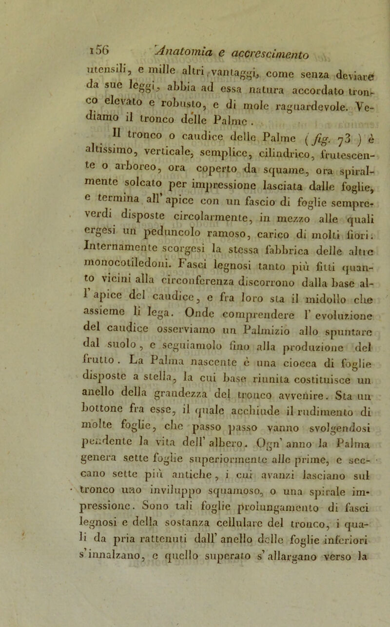 utensili, e mille altri . vantaggi, come senza deviare da sue leggi, abbia ad essa natura accordato tron- co elevato e robusto, e di mole raguardevole. Ve- diamo il tronco delle Palme . Il tronco o caudice delle Palme ( fig. 'jZ ) è altissimo, verticale, semplice, cilindrico, frutescen- te ° arboreo, ora coperto da squame, ora spiral- mente solcato per impressione lasciata dalle foglie, e termina all’ apice con un fascio di foglie sempre- verdi disposte circolarmente, in mezzo alle quali ergesi un peduncolo ramoso, carico di molti fiori. Internamente scorgesi la stessa fabbrica delle altre monocotiledoni. l asci legnosi tanto più fitti quan- do vicini alla circonferenza discorrono dalla base al- rapice del caudice, e fra loro sta il midollo che assieme li lega. Onde comprendere f evoluzione del caudice osserviamo un Palmizio allo spuntare dal suolo , e seguiamolo lino alla produzione del flutto. La Palma nascente e una ciocca di foglie disposte a stella, la cui base riunita costituisce un anello della grandezza del tronco avvenire. Sta un bottone fra esse, il quale acchiude il rudimento di molte foglie, che passo passo vanno svolgendosi pendente la vita dell albero. Ogn’anno la Palma genera sette foglie superiormente alle prime, c sec- cano sette più antiche, i cui avanzi lasciano sul tronco uno inviluppo squamoso, o una spirale im- pressione. Sono tali foglie prolungamento di fasci legnosi e della sostanza cellulare del tronco, i qua- li da pria rattenuti dall’anello delle foglie inferiori s innalzano, c quello superato s’allargano verso la