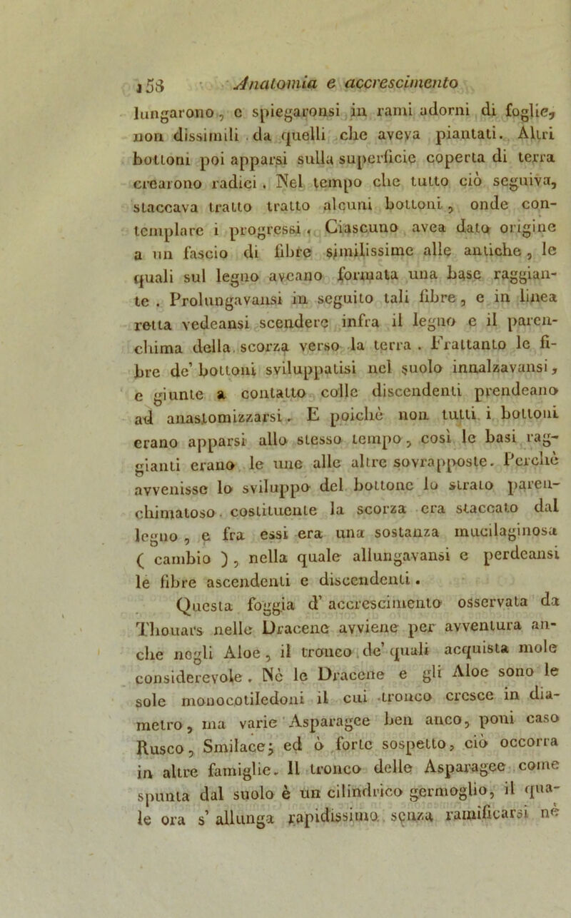 lungarono, c spiegarpnsi in rami adorni di foglie, non dissimili.da (juelli che aveya piantali. Altri bottoni poi apparsi sulla superfìcie coperta di terra crearono radici . Nel tempo che tutto ciò seguiva, staccava tratto tratto alcuni bottoni., onde con- templare i progressi. Ciascuno avea dato origine a un fascio di libre similissime alle antiche, le quali sul legno avcano formata una base raggian- te . Prolunga varisi in seguito tali libre , e in linea retta vedeansi scendere infra il legno e il paren- chima della scorza verso la terra. Frattanto le fi- bre de’ bottoni sviluppatisi nel suolo innalzavansi, e giunte a contatto colle discendenti prendean» ad anaslomizzarsi » E poiché non tutti i bottoni erano apparsi allo stesso tempo, cosi le basi rag- gianti erano le une alle altre sovrapposte. Perchè avvenisse lo sviluppo del bottone lo strato pareu- chimatoso. costituente la scorza era staccato dal legno , e fra essi era una sostanza muedaginosa ( cambio ) , nella quale allungavano! e perdcansi le fibre ascendenti e discendenti. Questa foggia d’ accrescimento osservala da Thouars nelle Dracene avviene per avventura an- che negli Aloe , il tronco de’ quali acquista mole considerevole . Nè le Dracene e gli Aloe sono le sole monocotiledoni il cui tronco cresce in dia- metro, ma varie Asparagee ben anco, poni caso Rusco, Smilacej ed ò forte sospetto, ciò occorra in altre famiglie. Il tronco delle Asparagee come spunta dal suolo è un cilindrico germoglio, il qua- le ora s’ allunga rapidissimo spnza ramificarsi ne