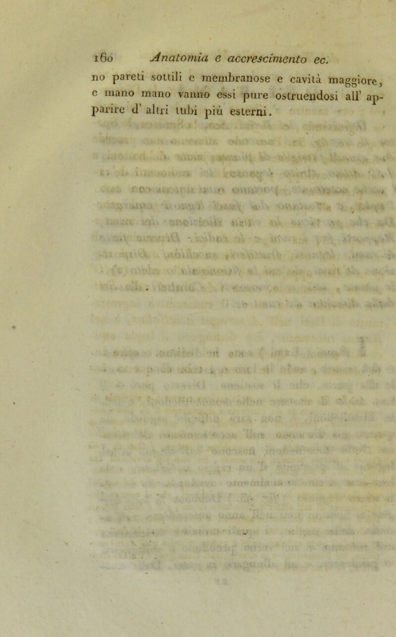 no pareli .sottili e membranose e cavità maggiore c mano inano vanno essi pure ostruendosi ali’ ap parire d altri tubi più esterni. .. * C' * <' gnu. < vi. • ngi} • • . ' t i*. % m i • ♦£* >lV, > *- '• # * v\ - ; .V*.. *v*