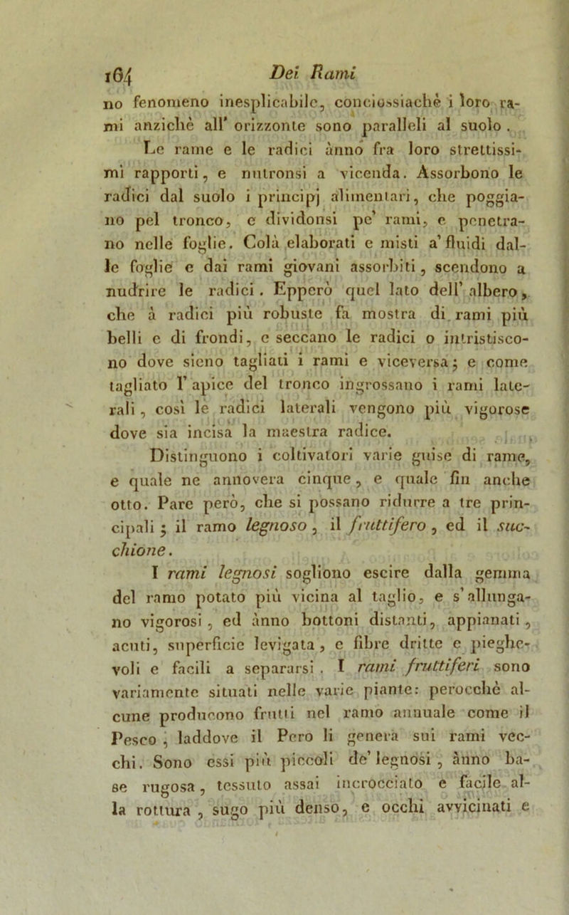 no fenomeno inesplicabile, coneiossiachè i loro ra- mi anziché all’ orizzonte sono paralleli al suolo . Le rame e le radici anno fra loro strettissi- mi rapporti, e nutronsi a vicenda. Assorbono le radici dal suolo i principi alimentari, che poggia- no pel tronco, c dividonsi pc’ rami, e penetra- no nelle foglie. Colà elaborati e misti a’fluidi dal- le foglie e dai rami giovani assorbiti, scendono a nudrire le radici. Epperù quel lato dell’albero, che à radici più robuste fa mostra di rami più belli c di frondi, e seccano le radici o intristisco- no dove sicno tagliati i rami e viceversa $ e come tagliato 1’ apice del tronco ingrossano i rami late- rali , cosi le ràdici laterali vengono più vigorose dove sia incisa la maestra radice. Distinguono i coltivatori varie guise di rame, e quale ne annovera cinque, e quale fin anche otto. Pare però, che si possano ridurre a tre prin- cipali 5 il ramo legnoso , il fruttifero , ed il suc- chione . I rami legnosi sogliono escire dalla gemma del ramo potato più vicina al taglio, e s’allunga- no vigorosi, ed anno bottoni distanti, appianati, acuti, superficie levigata, c fibre dritte e pieghe- voli e facili a separarsi . I rami fruttiferi sono variamente situati nelle varie piante: perocché al- cune producono frutti nel ramo annuale come il Pesco , laddove il Pero li genera sui rami vec- chi. Sono essi più piccoli de’ legnosi , .anno ba- se rugosa, tessuto assai incrocciato e facile al- ia rottura , sugo più denso, e occhi avvicinati e