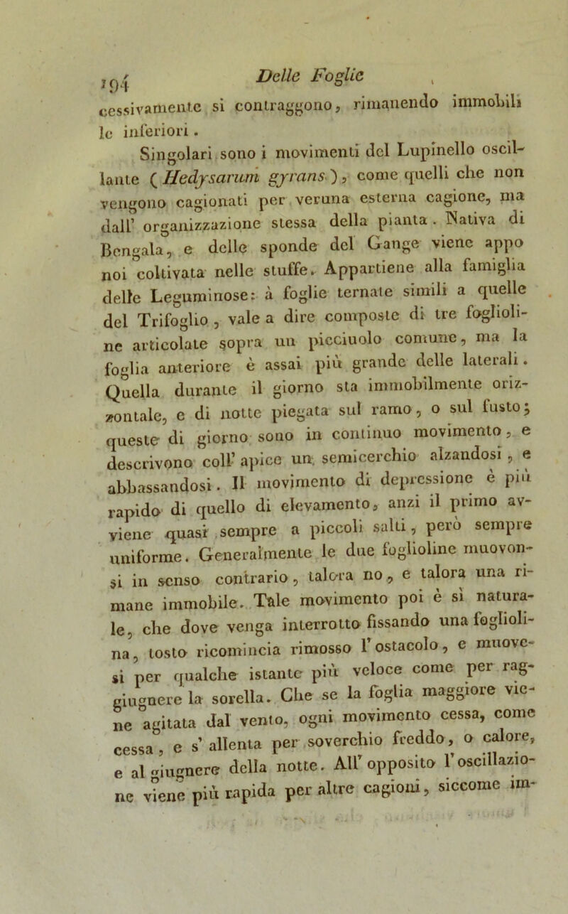 cessivamente si contraggono, rimanendo immoLih le inferiori. Singolari sono i movimenti del Lupinello oscil- lante ( Hedjsavitm gjrans ), come quelli che non vengono cagionati per veruna esterna cagione, ma dall’ organizzazione stessa della pianta . ÌNativa di Bengala, e delle sponde del Gange viene appo noi coltivata nelle stuffe. Appartiene alla famiglia delle Leguminose: à foglie ternate simili a quelle del Trifoglio , vale a dire composte di tre fogholi- ne articolate sopra un picciuolo comune, ma la foglia anteriore è assai più grande delle laterali. Quella durante il giorno sta immobilmente oriz- zontale, e di notte piegata sul ramo, o sul lusto; queste di giorno sono in continuo movimento, e descrivono coll’ apice un. semicerchio alzandosi , e abbassandosi. Il movimento di depressione è più rapido di quello di elevamento, anzi il primo av- viene .quasi sempre a piccoli salti, però sempre uniforme. Generalmente le due foglioline muovon- si in senso contrario, talora no, e talora una li- mane immobile. Tale movimento poi è sì natura- le. che dove venga interrotto fissando una loglioli- na, tosto ricomincia rimosso l’ostacolo, c muove- si per qualche istante più veloce come per rag- giugnere la sorella. Che se la foglia maggiore vie- ne agitata dal vento, ogni movimento cessa, come cessa , e s’ allenta per soverchio freddo, o calore, e al iugnerò della notte. All’ opposito l’oscillazio- ne viene più rapida peraltro cagioni, siccome un-