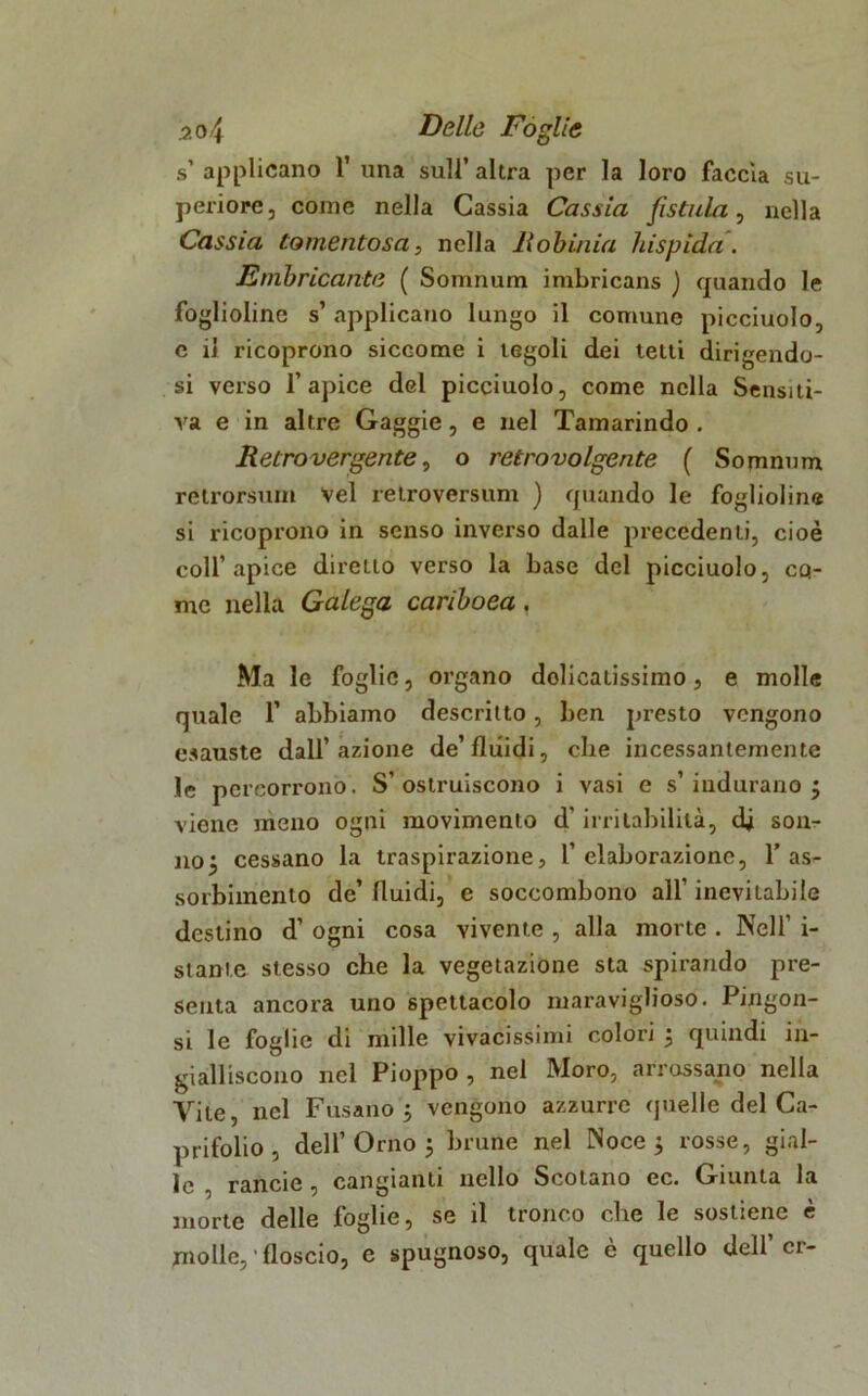 s’applicano 1’ una sull’altra per la loro faccia su- periore, come nella Cassia Cassia fistula, nella Cassia tomentosa, nella Robinia hispida. Embricante ( Somnum imbricans ) quando le foglioline s’ applicano lungo il comune picciuolo, e il ricoprono siccome i tegoli dei tetti dirigendo- si verso l’apice del picciuolo, come nella Sensiti- va e in altre Gaggie, e nel Tamarindo . Retrovergente, o retrovolgente ( Somnum relrorsum vel relroversum ) quando le foglioline si ricoprono in senso inverso dalle precedenti, cioè coll’apice diretto verso la base del picciuolo, co- me nella Galega cariboea. Ma le foglie, organo delicatissimo, e molle quale 1’ abbiamo descritto, ben presto vengono esauste dall’azione de’fluidi, che incessantemente le percorrono. S’ostruiscono i vasi e s’ indurano ’ viene meno ogni movimento d'irritabilità, dj son- no 5 cessano la traspirazione, l’elaborazione, 1’as- sorbimento de’ fluidi, e soccombono all’ inevitabile destino d’ ogni cosa vivente , alla morte . Nell’ i- stante stesso che la vegetazione sta spirando pre- senta ancora uno spettacolo maraviglioso. Pingon- si le foglie di mille vivacissimi colori 5 quindi in- gialliscono nel Pioppo , nel Moro, arrossano nella Vite, nel Fusano $ vengono azzurre quelle del Ca- prifolio, dell’Orno 5 brune nel Noce 5 rosse, gial- le , rancie , cangianti nello Scotano ec. Giunta la morte delle foglie, se il tronco che le sostiene è molle, ' floscio, e spugnoso, quale e quello dell cr-