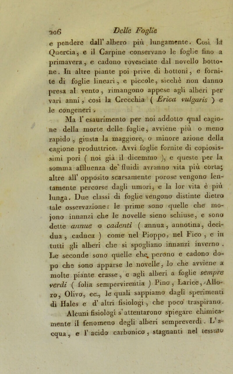 e pendere dall’ albero più lungamente. Cosi 1.1 Quercia, e il Carpine conservano le foglie lino a primavera, e cadono rovesciate dal novello botto- ne . In altre piante poi prive di bottoni, e forni- te di foglie lineari, e piccole, sicché non danna presa al vento , rimangono appese agli alberi per vari anni , così la Crecchia ( Erica vulgaris ) e le congeneri . Ma 1’ esaurimento per noi addotto qual cagio- ne della morte delle foglie, avviene più o meno rapido , giusta la maggiore, o minore azione della cagione produttrice. Avvi foglie fornite di copiosis- simi pori ( noi già il dicemmo ), e queste per la somma affluenza de’ fluidi avranno vita più corta; altre all1 opposito scarsamente porose vengono len- tamente percorse dagli umori, c la lor vita è più lunga. Due classi di foglie vengono distinte dietro tale osservazione: le prime sono quelle che mo- jono innanzi che le novelle sieno schiuse, e sono dette annue o cadenti ( annua, annotina, deci- dua , caduca ) come nel Pioppo, nel Fico , c in tutti gli alberi che si spogliano innanzi inverno . Le seconde sono quelle che; pero no e cadono do- po che sono apparse le novelle, lo che avviene a molte piante crasse, e agli alberi a foglie sempre verdi ( folia sempervirentia ) Pino, Larice,/Allo- ro, , Olivo, ec., le quali sappiamo dagli sperimenti di Hales e d1 altri fisiologi , che poco traspirano. Alcuni fisiologi s’attentarono spiegare chimica- mente il fenomeno degli alberi sempreverdi. V a- equa, e 1’ acido carbonico , stagnanti nel tessuto