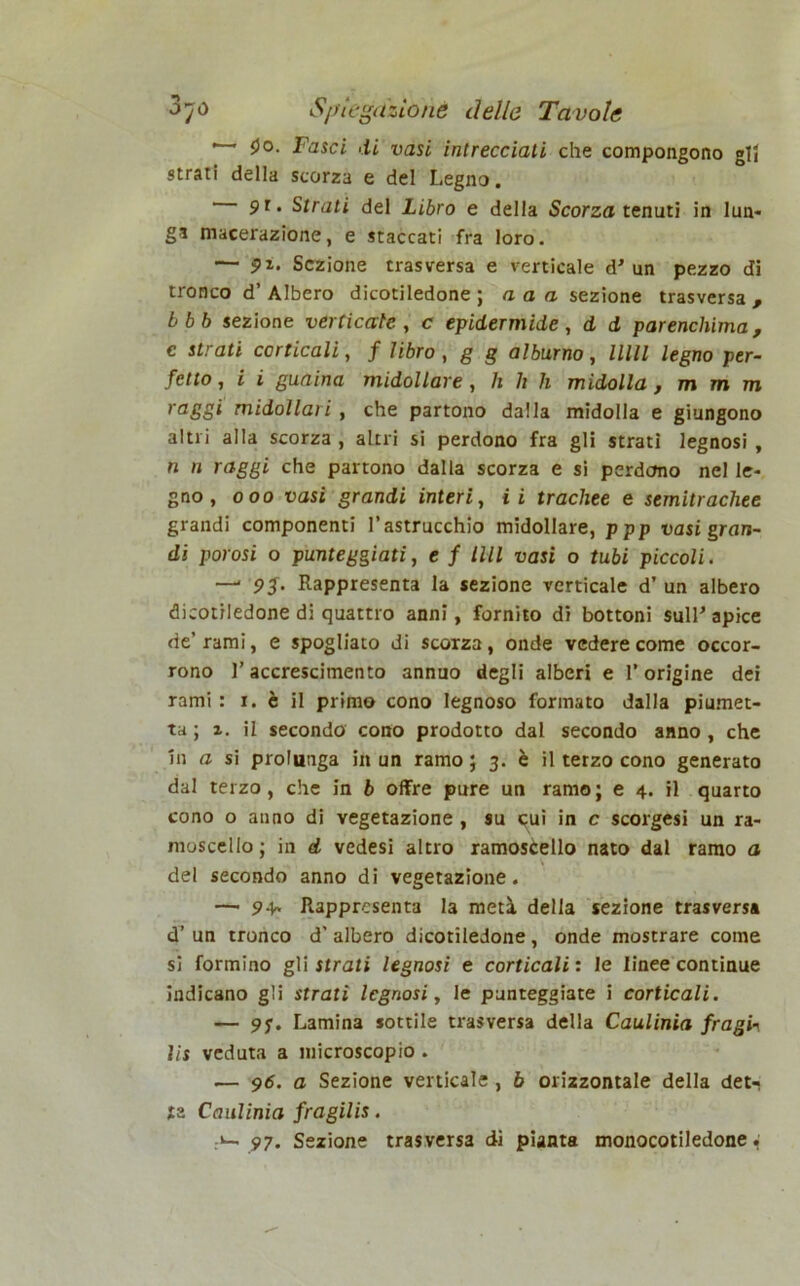 ' 9o. Fasci di vasi intrecciati che compongono glj strati della scorza e del Legno. 91. Strati del Libro e della Scorza tenuti in lun- ga macerazione, e staccati fra loro. — ?x. Sezione trasversa e verticale d’ un pezzo di tronco d’Albero dicotiledone; a a a sezione trasversa , bbb sezione verticale, c epidermide, d d parenchima, c strati corticali, f libro, g g alburno, UHI legno per- fetto, i i guaina midollare , h h h midolla, m m m raSSl midollari , che partono dalla midolla e giungono altri alla scorza , altri si perdono fra gli strati legnosi , n 11 raggi che partono dalla scorza e si perdono nel le- gno , 000 vasi grandi interi, ii trachee e semitrachee grandi componenti Pastrucchio midollare, ppp vasi gran- di porosi o punteggiati, e f llll vasi o tubi piccoli. —■ 93. Rappresenta la sezione verticale d’ un albero dicotiledone di quattro anni, fornito di bottoni sulP apice de’rami, e spogliato di scorza, onde vedere come occor- rono P accrescimento annuo degli alberi e P origine dei rami : 1. è il primo cono legnoso formato dalla piumet- ta ; x. il secondo cono prodotto dal secondo anno , che in a si prolunga in un ramo ; 3. è il terzo cono generato dal terzo, che in b offre pure un ramo ; e 4. il quarto cono o anno di vegetazione , su cui in c scorgesi un ra- moscello; in d vedesi altro ramoscello nato dal ramo a del secondo anno di vegetazione. —* 94. Rappresenta la metà della sezione trasversa d’ un tronco d' albero dicotiledone, onde mostrare come si formino gli strati legnosi e corticali : le linee continue indicano gli strati legnosi, le punteggiate i corticali. — 97. Lamina sottile trasversa della Caulinia frogia lis veduta a microscopio . .— 96. a Sezione verticale, b orizzontale della det- ja Caulinia fragilis. 97. Sezione trasversa di pianta monocotiledone^