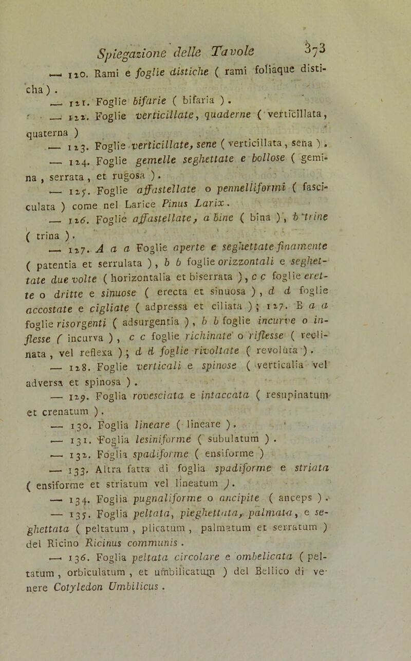 — no. Rami e foglie distiche ( rami foliaque disti- cha ) . m. Foglie bifarie ( bifaria ). ut, Foglie verticillate, quaderne ( verticillata, quaterna ) ll3. Foglie verticillate, sene ( verticillata , sena ). I24. Foglie gemelle seghettate e bollose ( gemi- na , serrata, et rugosa ). nj. Foglie affastellate o pennellifonni ( fasci- culata ) come nel Larice Pinus Lai ix. u.6. Foglie affastellate, a Bine ( bina )', t arine ( trina ) . ll7, A a a Foglie aperte e seghettate finamente ( patentia et serrulata ), b b foglie orizzontali e seghet- tate due volte ( horizontalia et biserrata ),cc foglie eret- te o dritte e sinuose ( erecta et sinuosa ) , d d foglie accostate e cigliate ( adpressa et ciliata ); 117. B a a foglie risorgenti ( adsurgentia ), b b foglie incurve o in- flesse ( incurva ) , c c foglie richinate o riflesse ( recli- nata , vel reflexa ) ; d d foglie rivoltate ( revoluta ). ii8. Foglie verticali e spinose ( verticalia vel adversa et spinosa ) . — np. Foglia rovesciata e intaccata ( resupinatmn et crenatura ). — 130. Foglia lineare ( lineare ). .— 131. 'Foglia lesiniformé ( subulatum ) . .—1 131. Foglia spadiforme ( ensiforme ) 133. Altra fatta di foglia spadiforme e striata ( ensiforme et striatum vel lineatum ). — 134. Foglia pugnaliforme o ancipite ( anceps ). — 135. Foglia pettata, pieghettata, palmata, e re- ghettata ( peltatum , plicatum , palmatum et serratura ) del Ricino Ricinus communis . —, 136. Foglia peltata circolare e ombelicata (pel- tatum , orbiculatum , et umbiiicatujn ) del Bellico di ve- nere Cotyledon Umbilicus.