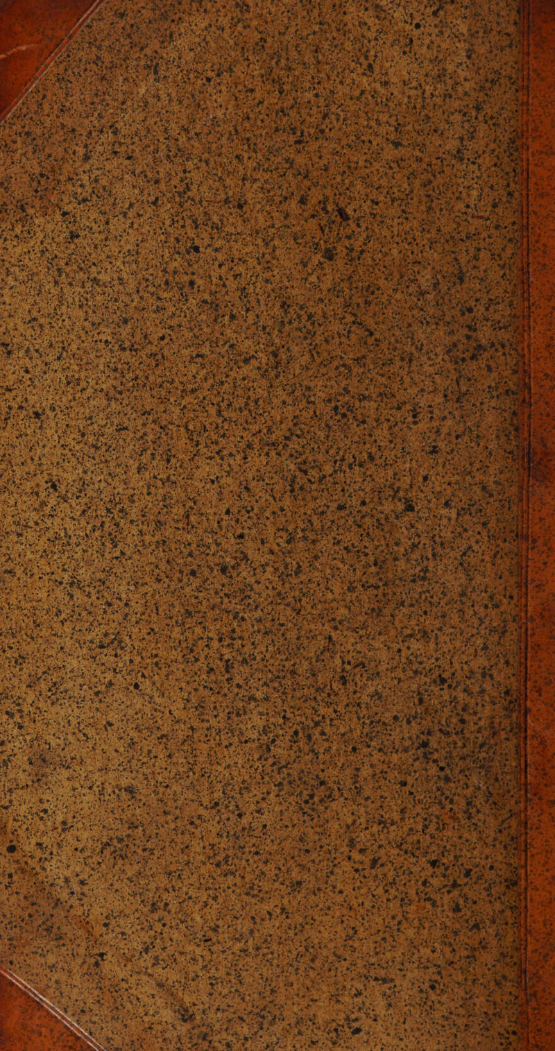 : Fer ; hr “ yes Arr. art rer x 7 ’ er y € an ar ” \ net. x “ e SL 4 7 + > .R / a A + . ” 2 A RE, . % ni $- w % RR 2 s [3 % A REN RE LOHR nr CR a Aa Es EN = f ee BEI RB ER x ; Ay. Z 7 PR