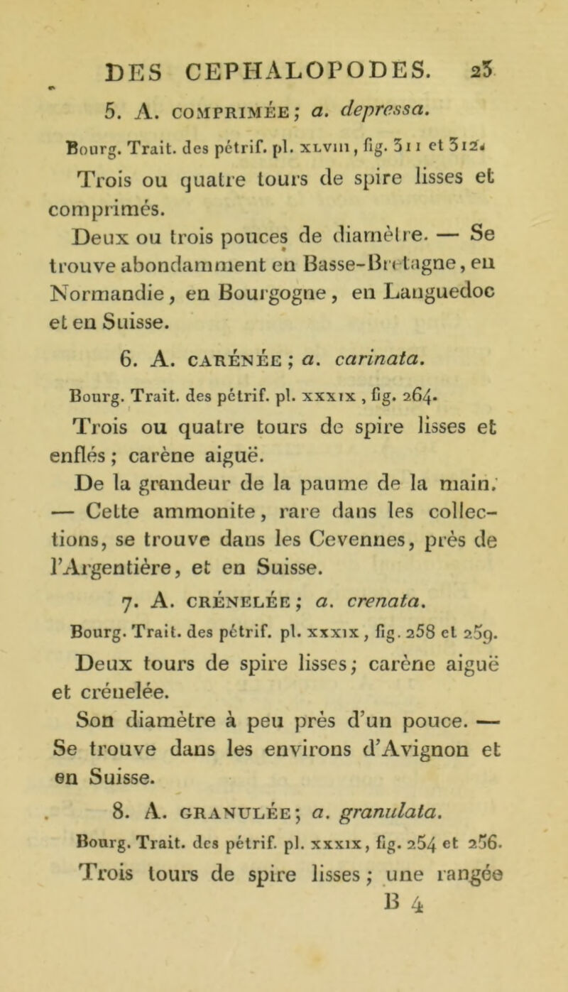 5. A. comprimée; a. depressa. Bourg. Trait, des pétrif. pl. XLVin,fig. 5n et 3iZ* Trois ou quatre tours de spire lisses et comprimés. Deux ou trois pouces de diamètre. — Se trouve abondamment en Basse-Bretagne, eu Normandie, en Bourgogne, en Languedoc et eu Suisse. 6. A. carénée; a. carinata. Bourg. Trait, des pétrif. pl. xxxix , fig. 264* Trois ou quatre tours de spire lisses et enflés ; carène aiguë. De la grandeur de la paume de la main; — Celte ammonite, rare dans les collec- tions, se trouve dans les Cevennes, près de l’Argentière, et en Suisse. 7. A. crénelée; a. crenata. Bourg. Trait, des pétrif. pl. xxxix , fig. 258 et z5g. Deux tours de spire lisses; carène aiguë et crénelée. Son diamètre à peu près d’un pouce. — Se trouve dans les environs d’Avignon et en Suisse. 8. A. granulée; a. granulata. Bourg. Trait, des pétrif. pl. xxxix, fig. 254 et 2^6. Trois tours de spire lisses ; une rangée B 4