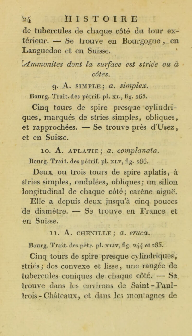 de tubercules de chaque côté du tour ex- térieur. — Se trouve en Bourgogne, en Languedoc et en Suisse. Ammonites dont la surface est striée ou à côtes. 9. A. simple ; a. simplex. Bourg. Trait, des pétrif. pl. xl , fig. 265. Cinq tours de spire presque cylindri- ques, marqués de stries simples, obliques, et rapprochées. — Se trouve près d'Usez, et en Suisse. 10. A. aplatie ; a. complanata. Bourg. Trait, des pétrif. pl. xlv, fig. 286. Deux ou trois tours de spire aplatis, à stries simples, ondulées, obliques; un sillon longitudinal de chaque côté; carène aiguë. Elle a depuis deux jusqu'à cinq pouces de diamètre. — Se trouve en France et en Suisse. 11. A. chenille ; a. cruca. Bourg. Trait, des pétr. pl. xliv, fig. 244 et 285. Cinq tours de spire presque cylindriques, striés ; dos convexe et lisse, une rangée de tubercules coniques de chaque côté. — Se trouve dans les environs de Saint-Paul- trois-Châteaux, et dans les montagnes de